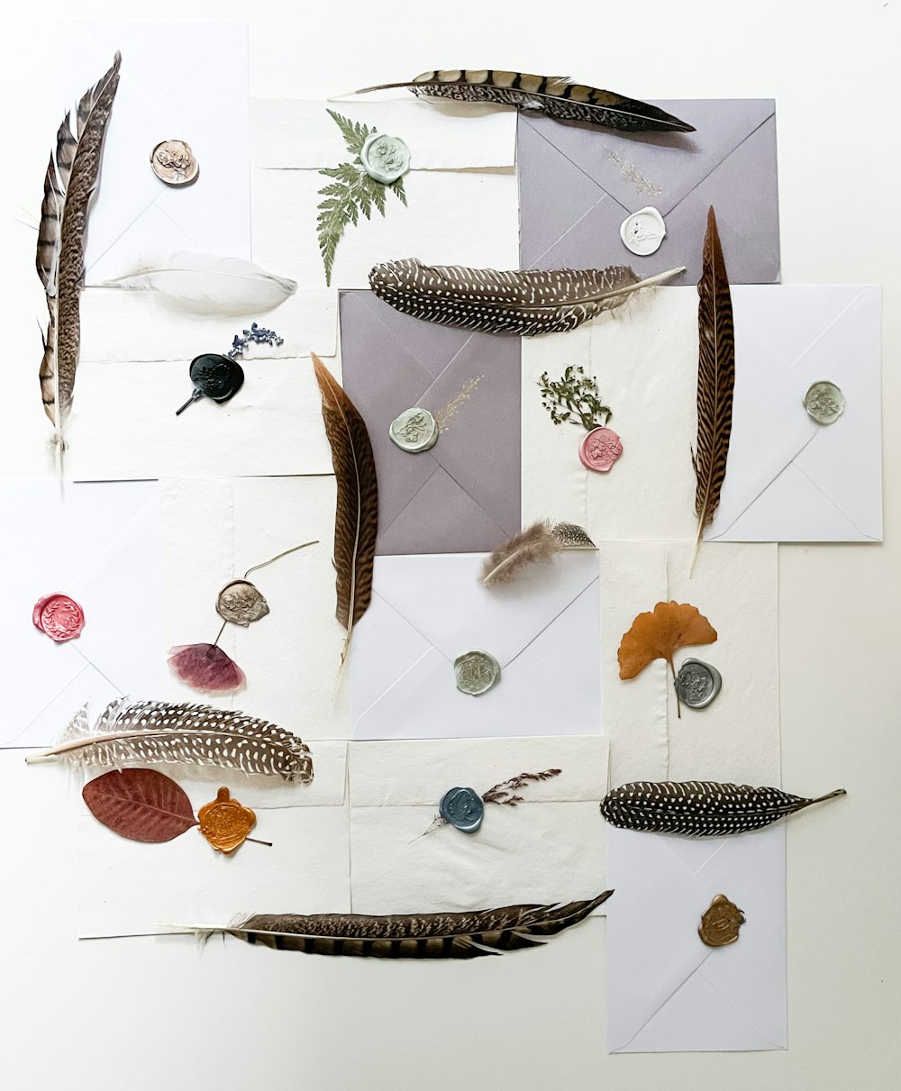 a collage of feathers and buttons on a piece of paper