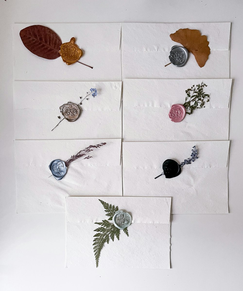 a group of buttons and leaves on a piece of paper