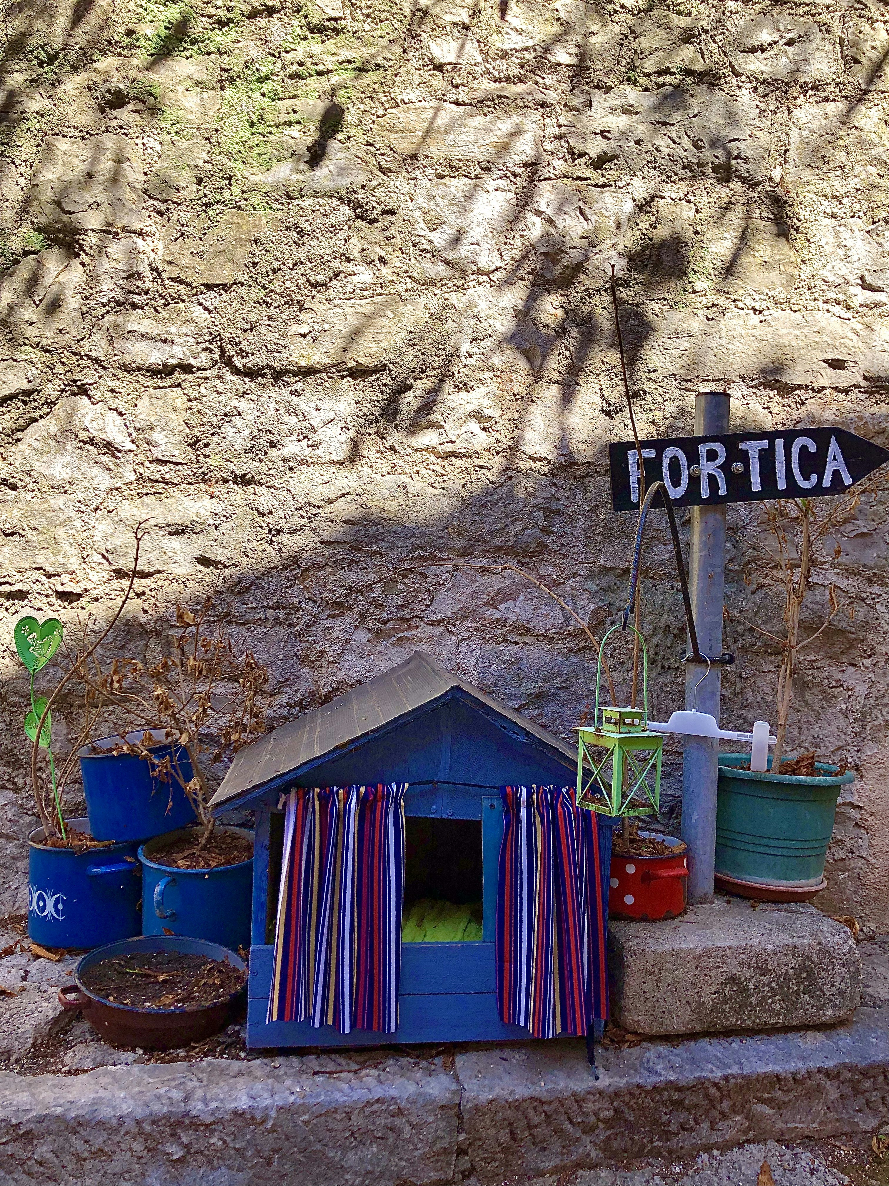a blue dog house with a sign that says fortica