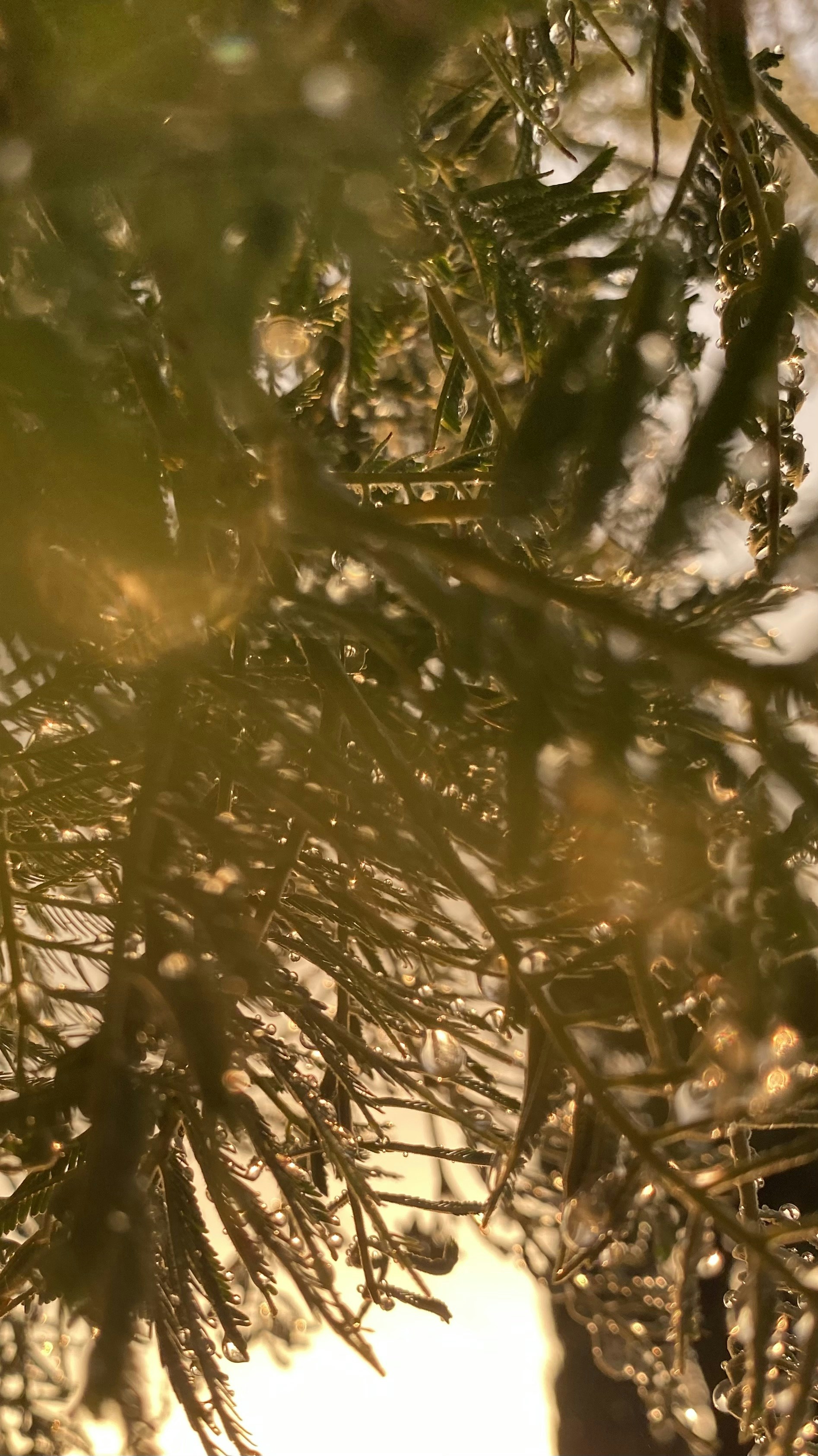 Photo by florenciadalla