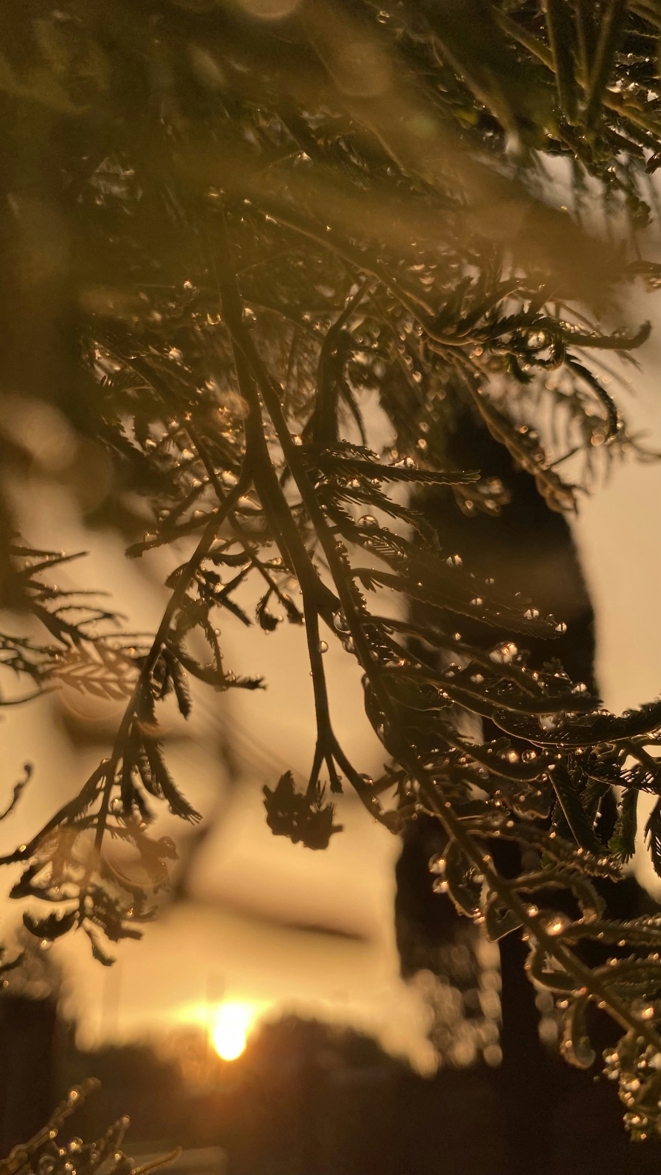 Photo by florenciadalla