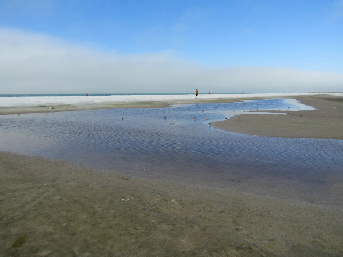Fort De Soto Park