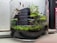 A glass terrarium containing small green plants and moss, with a dark stone placed in the center. The scene is set against a light background, creating a contrast between the natural elements and the indoors.