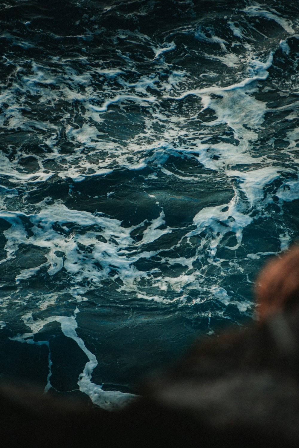 a bird is sitting on a rock in the water