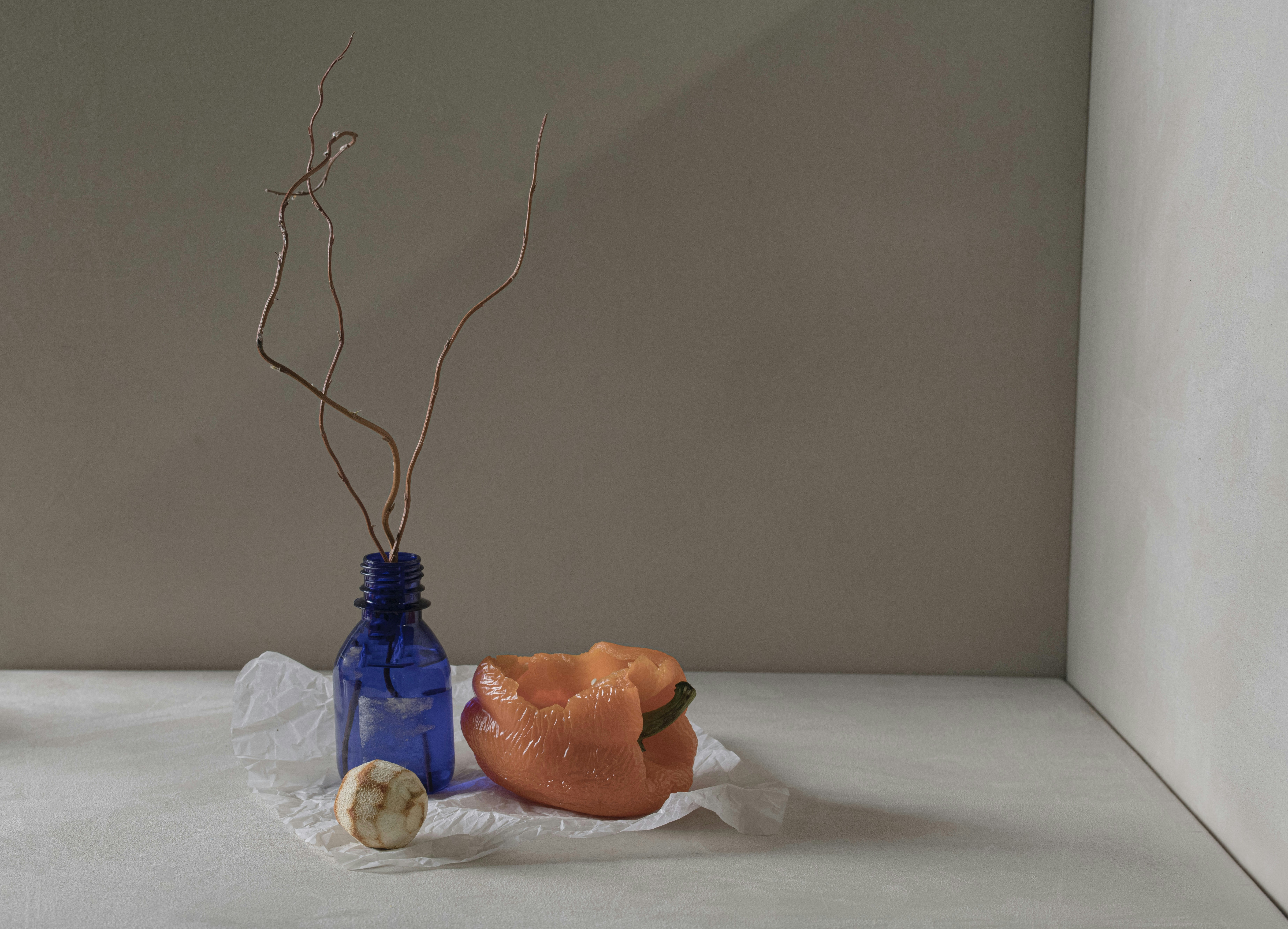 Photo by nilufar nattaq