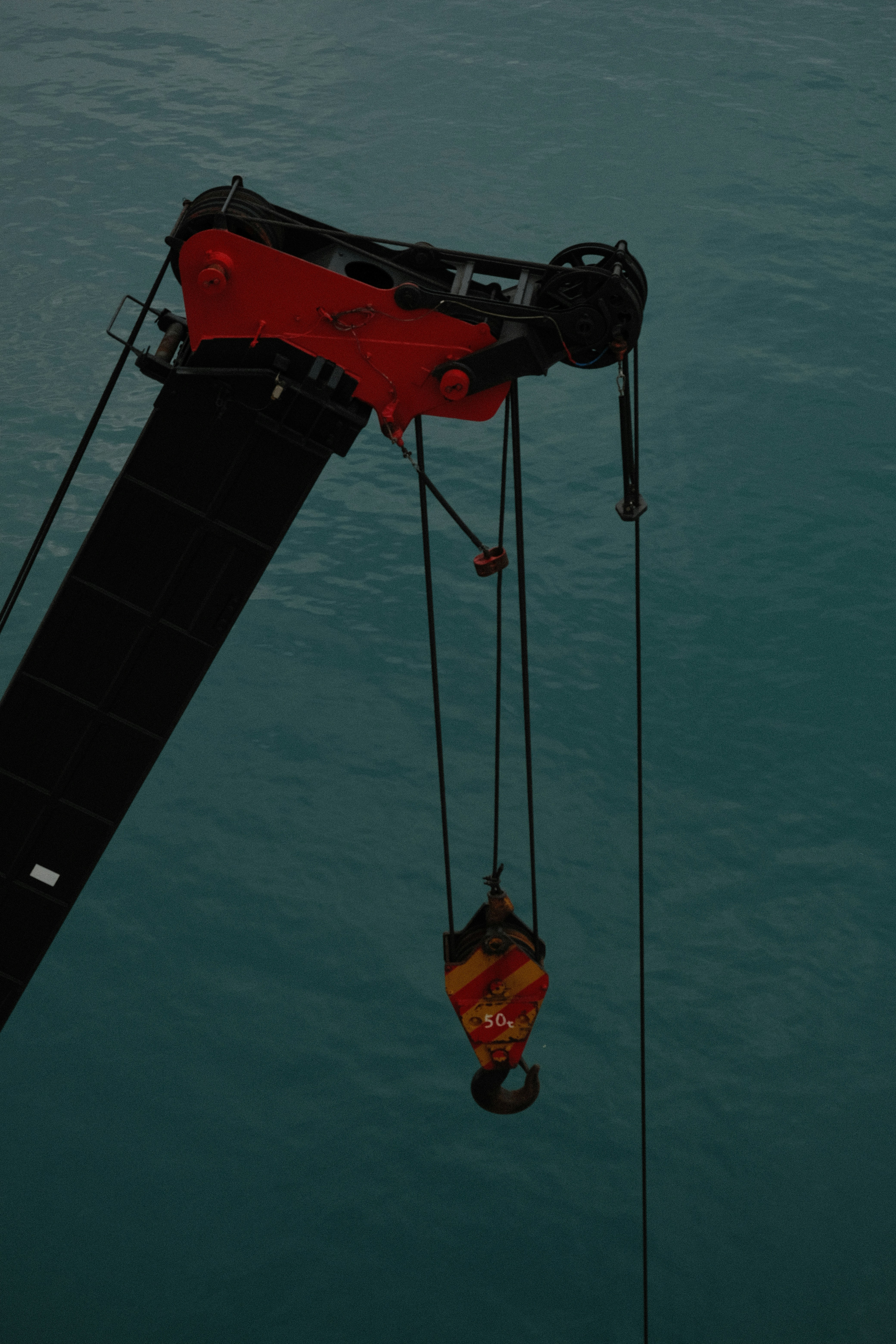 Crane in the sea
