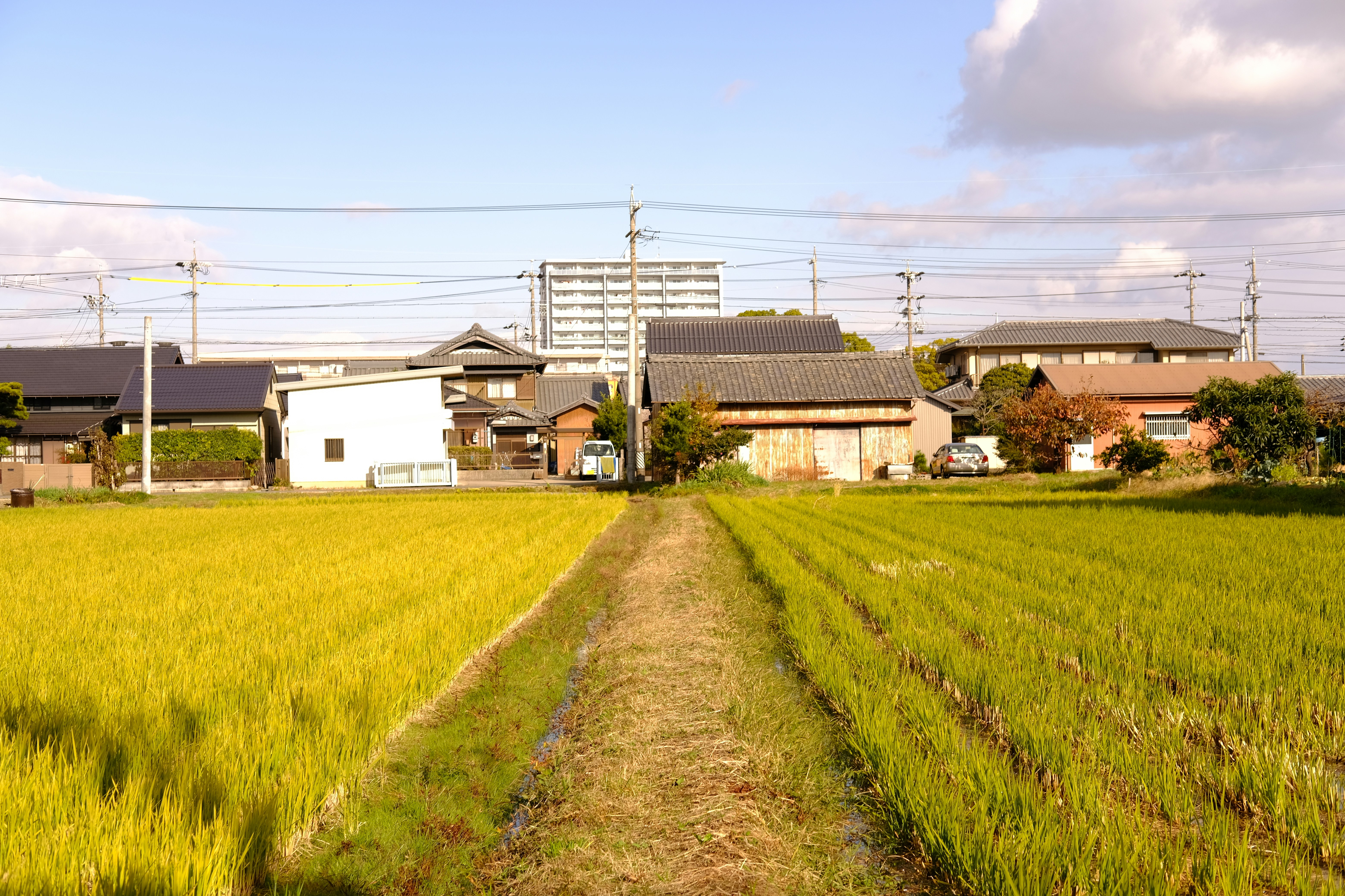 Yoga Retreats with a Twist: The Intersection of Travel and Wellness