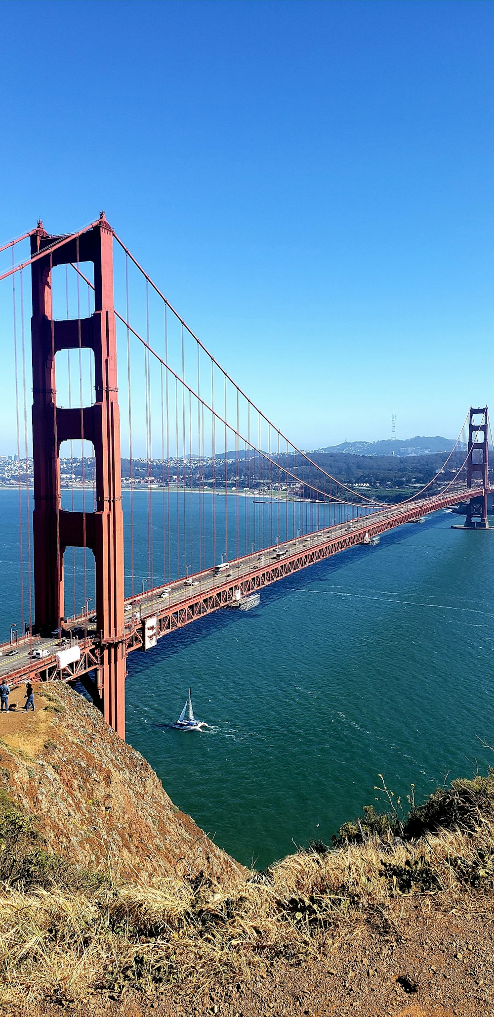 a view of the golden gate bridge from the top of a hill