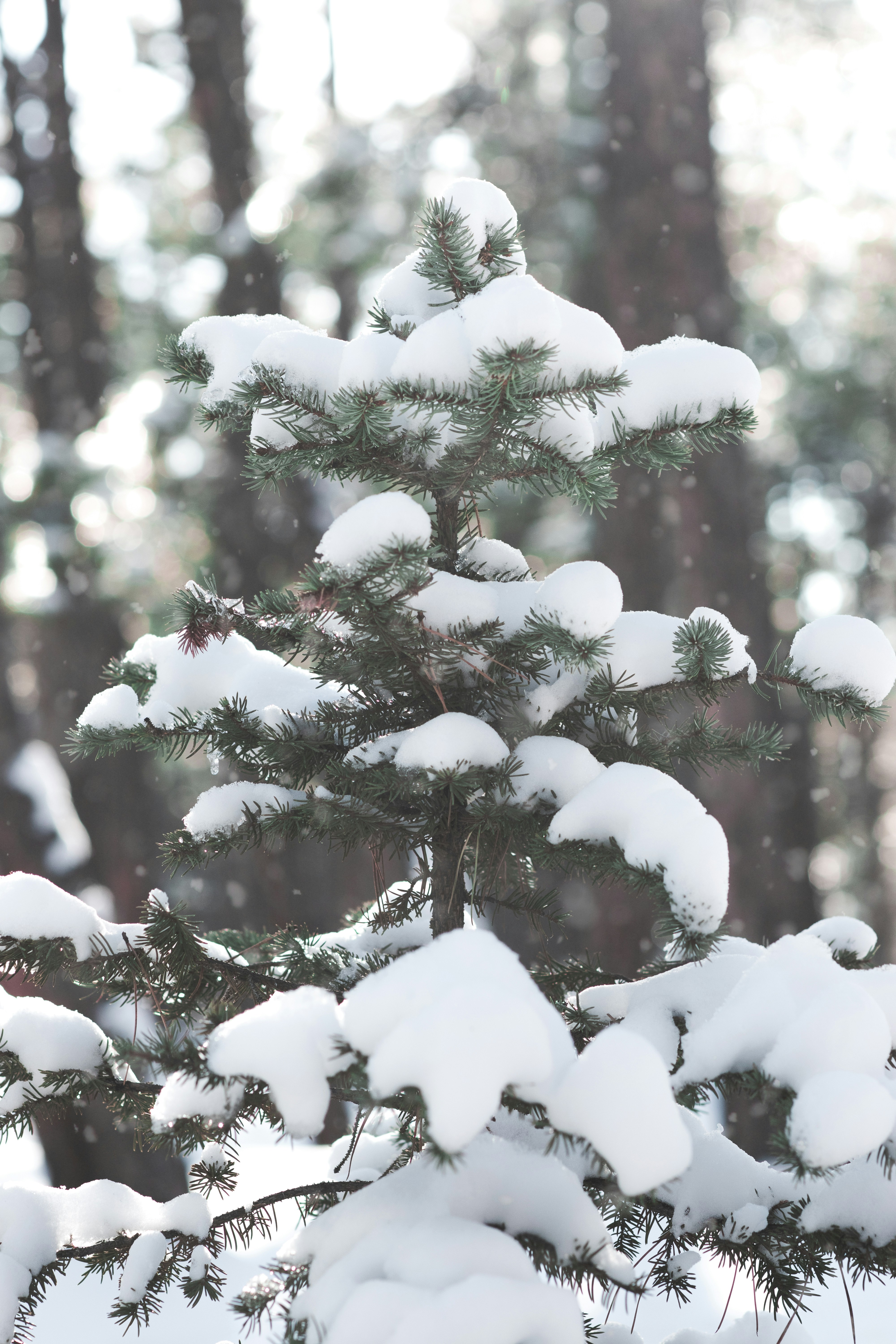 Photo by tayannphoto