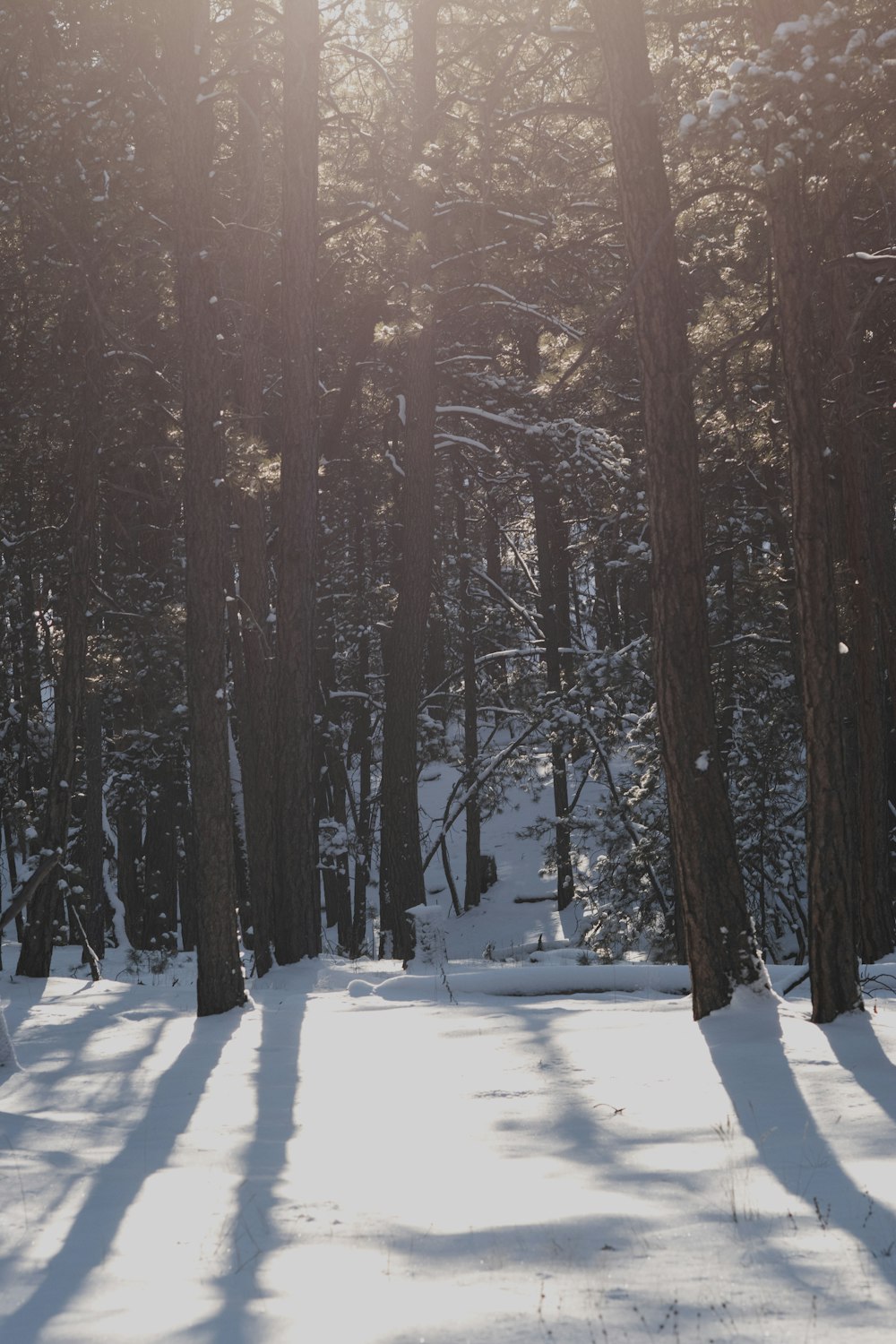 a person riding a snowboard down a snow covered slope