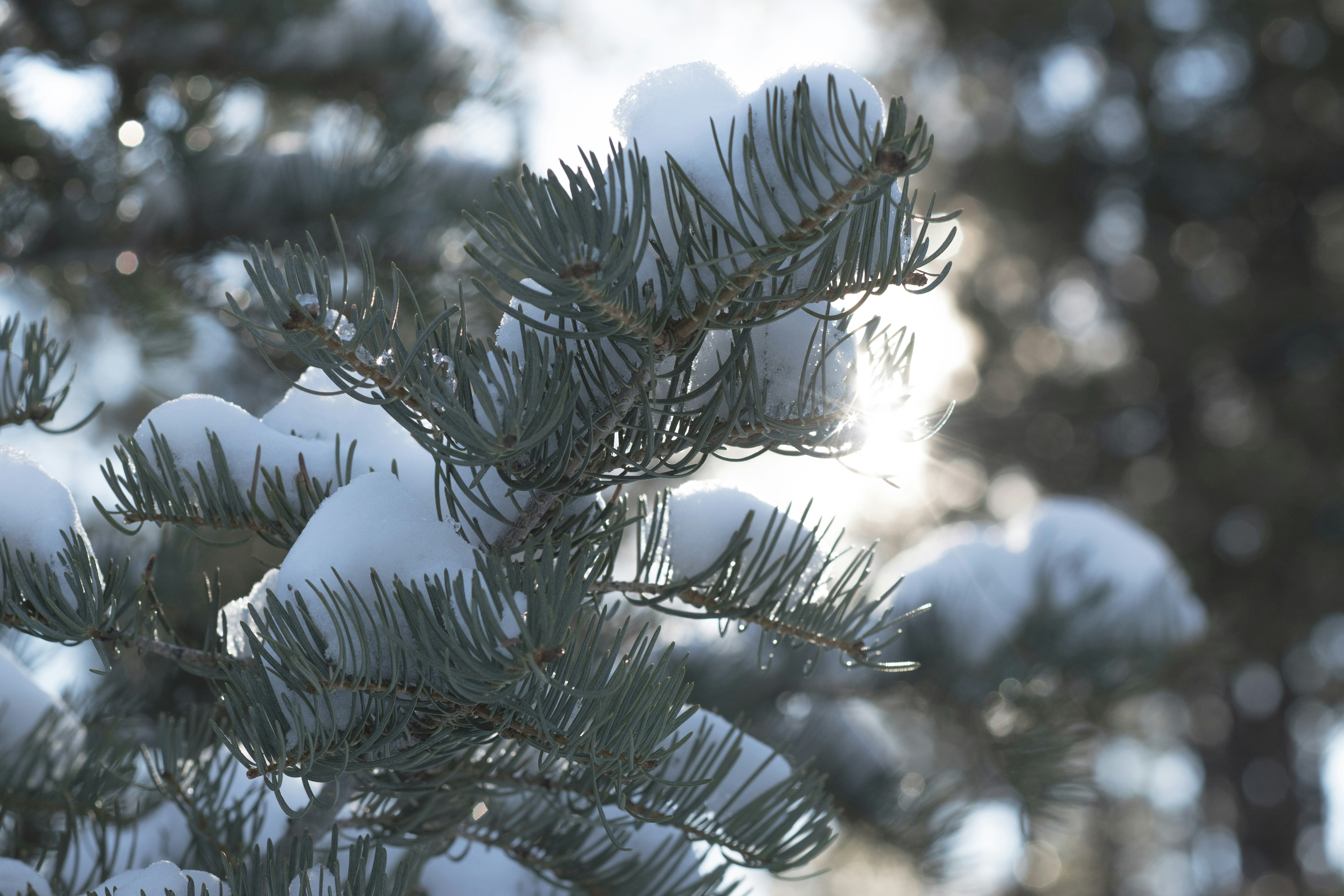 Photo by tayannphoto