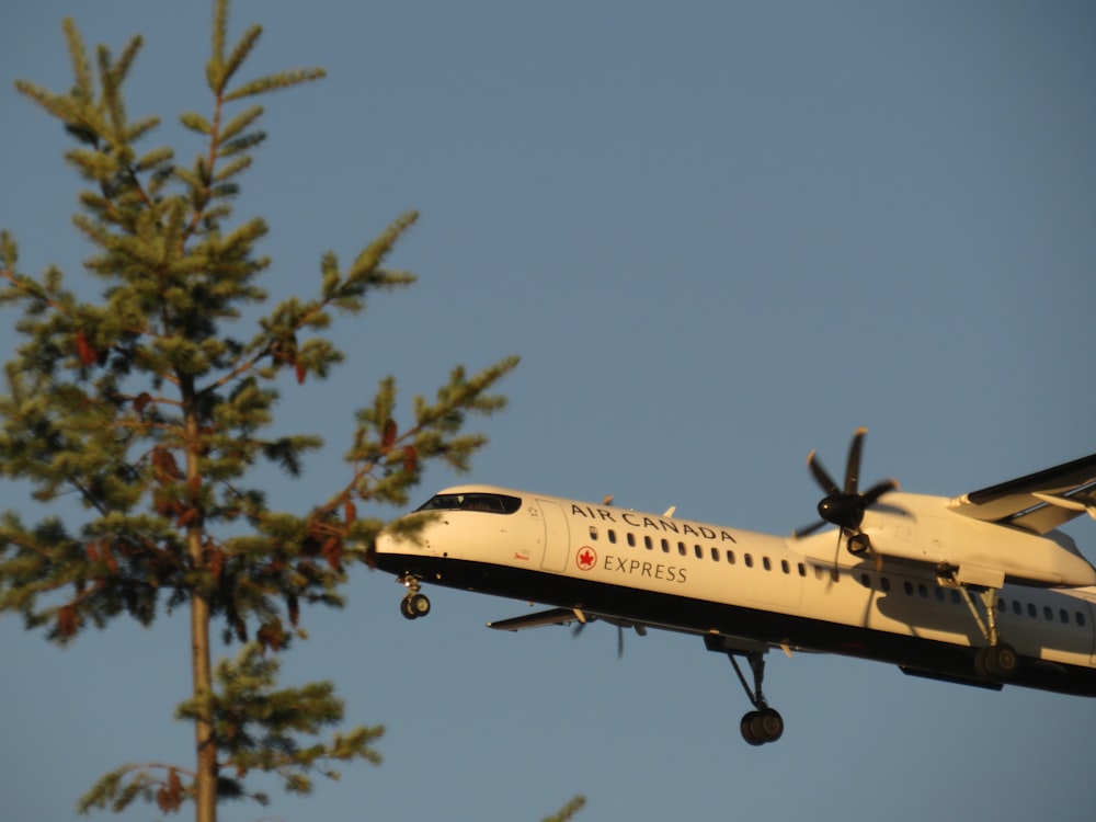 着陸装置を下ろして木の上を飛んでいる飛行機