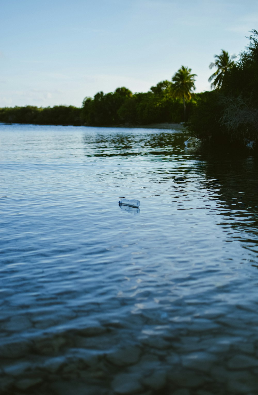 a bottle floating on top of a body of water