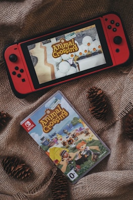 Animal Crossing video game