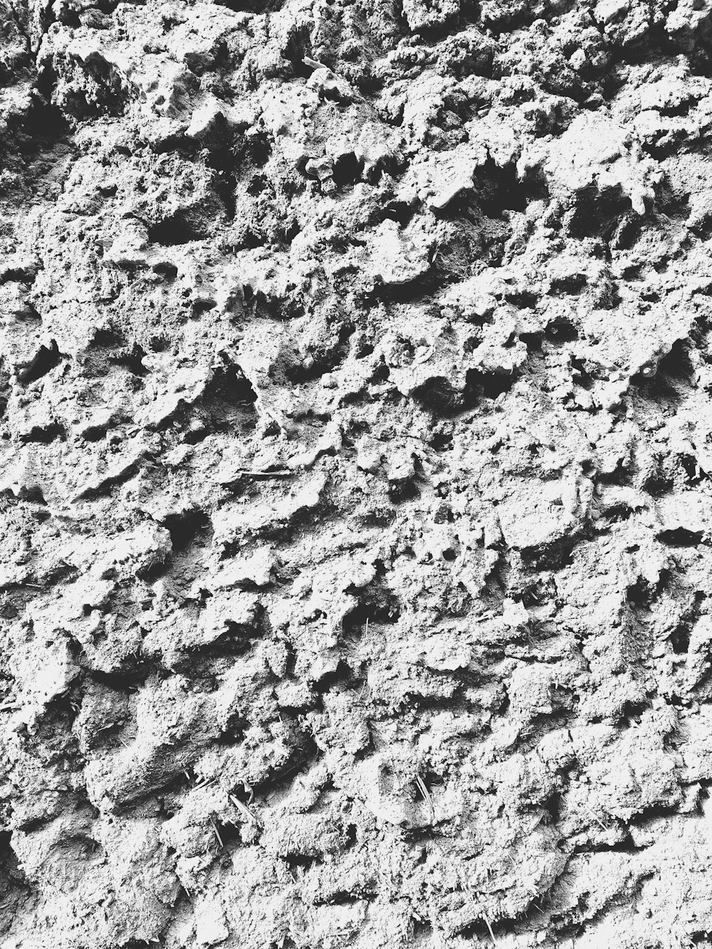 a black and white photo of rocks and dirt