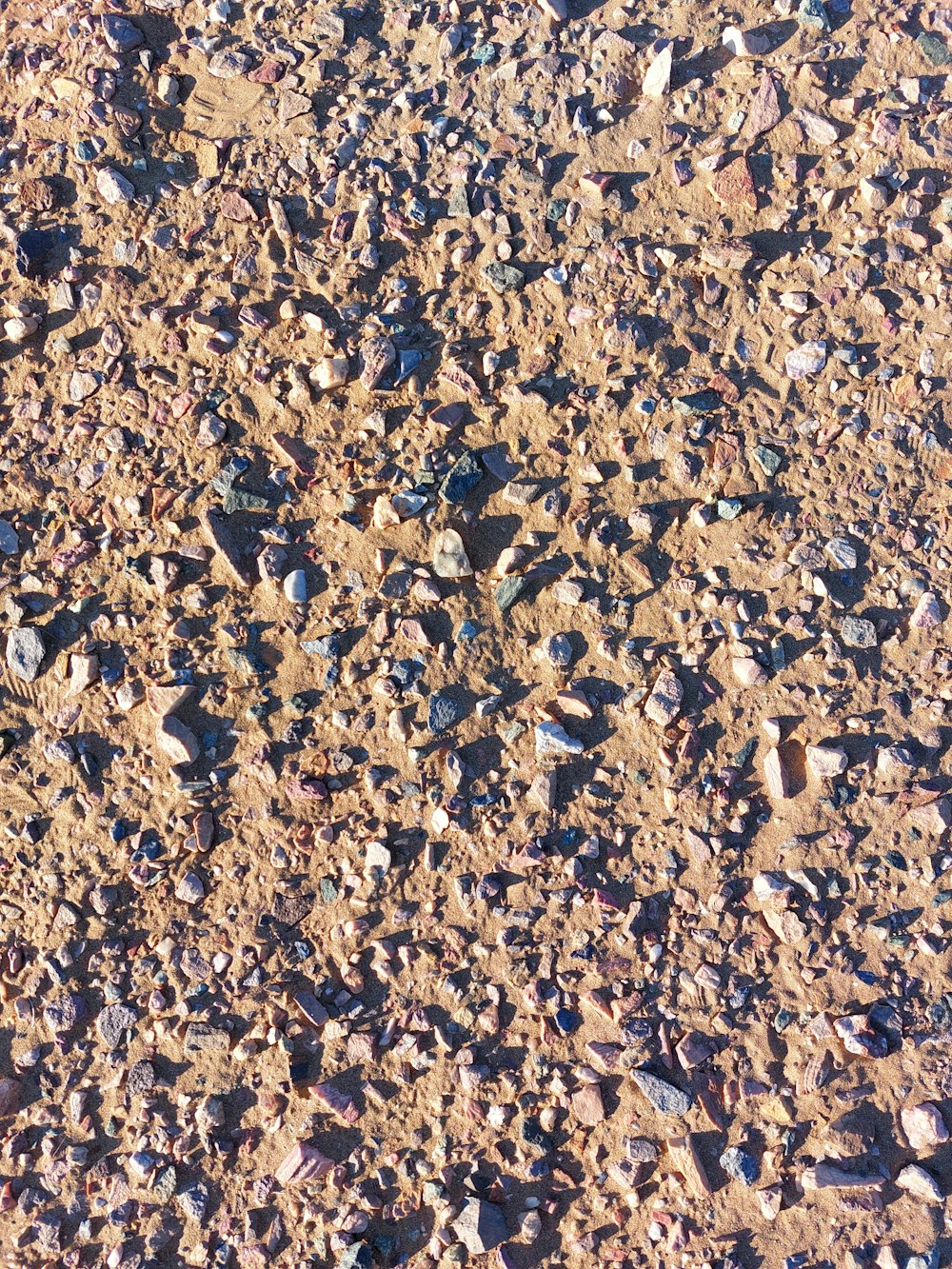 a close up of rocks and gravel on a ground