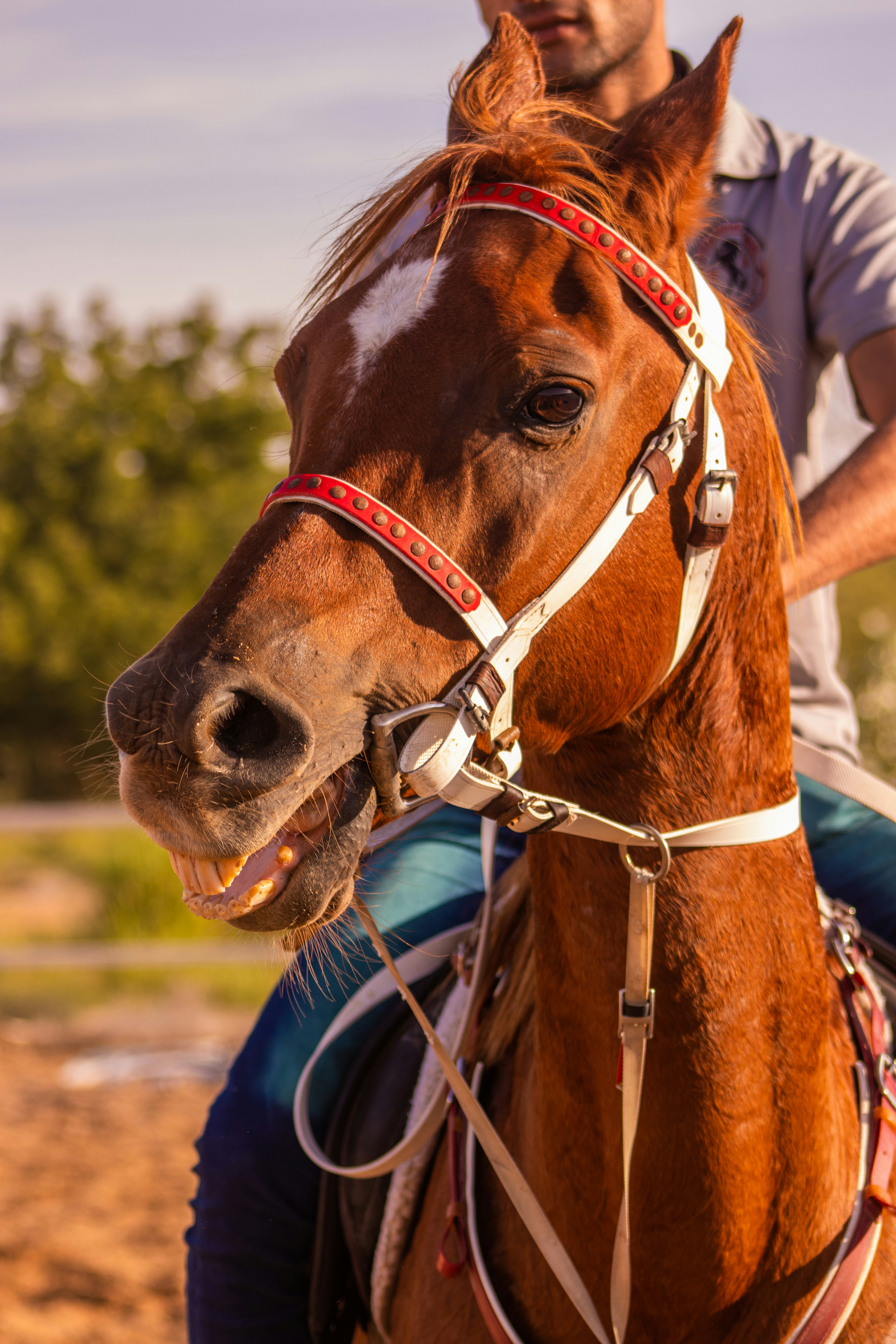 Photo by malikshibly