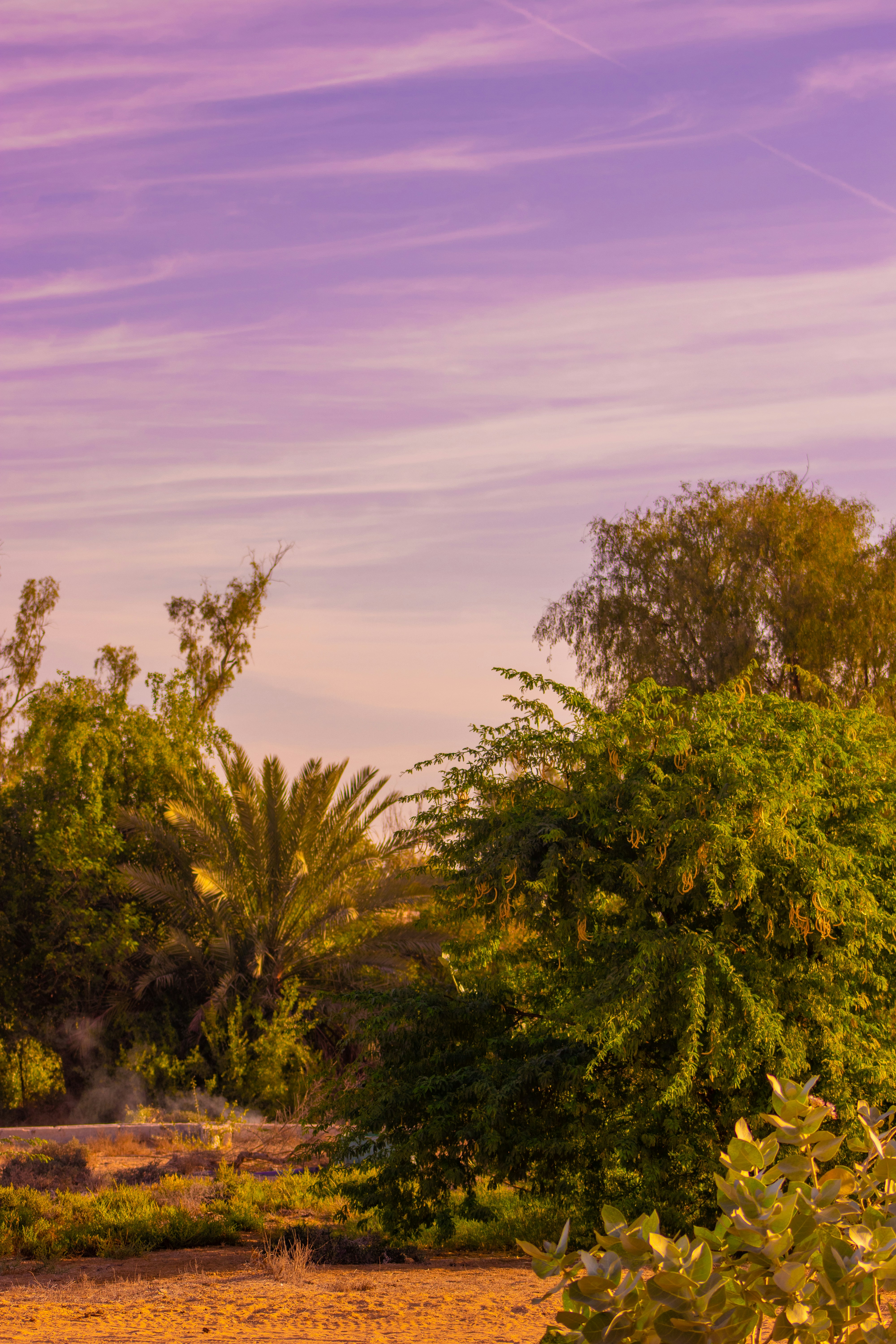 Photo by malikshibly