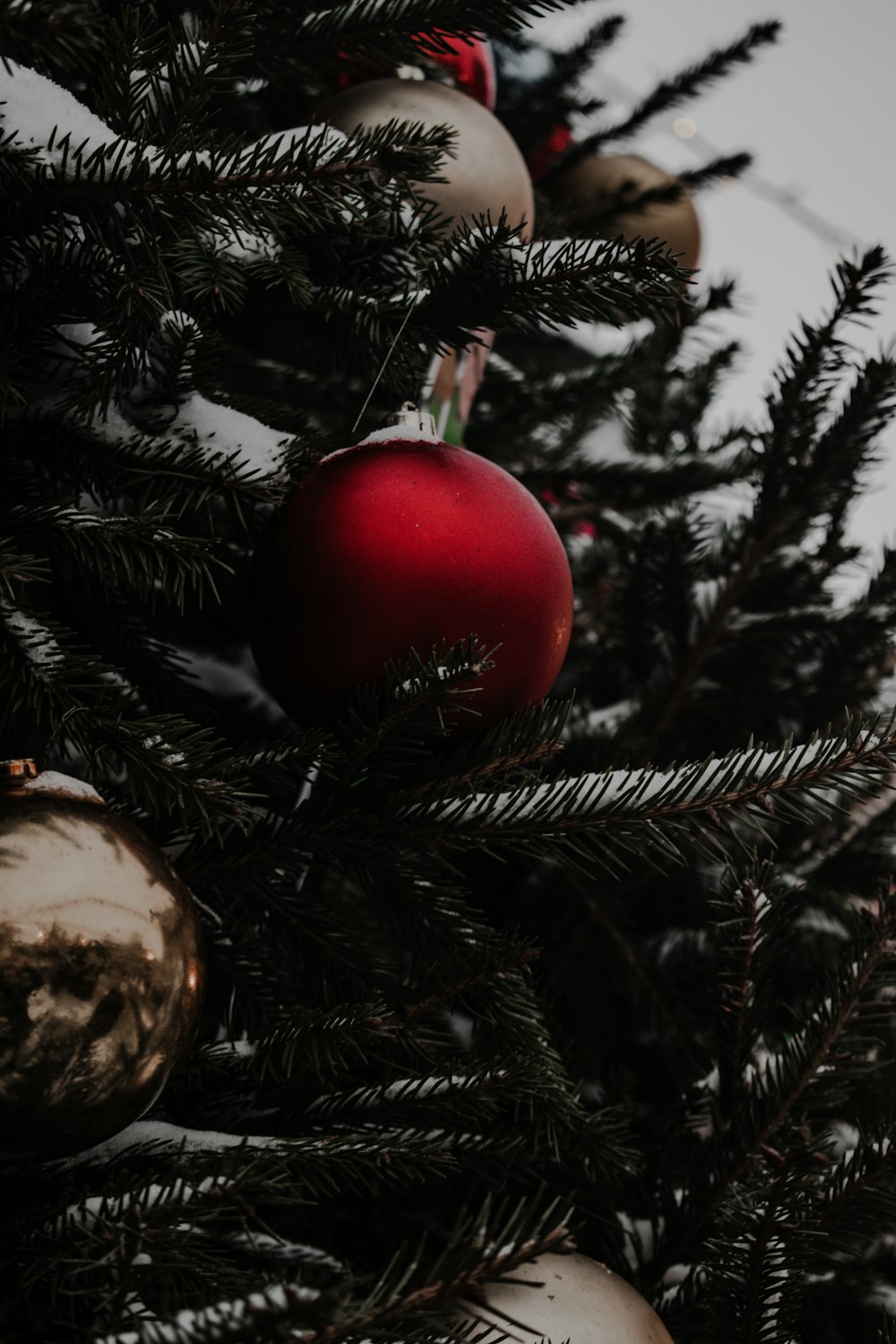 a close up of a christmas tree with ornaments