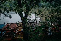 A serene riverside setting with traditional Asian architecture partially hidden behind dense green foliage. The roofs of the buildings display vibrant colors and intricate designs, contrasting with the calm water in the background.