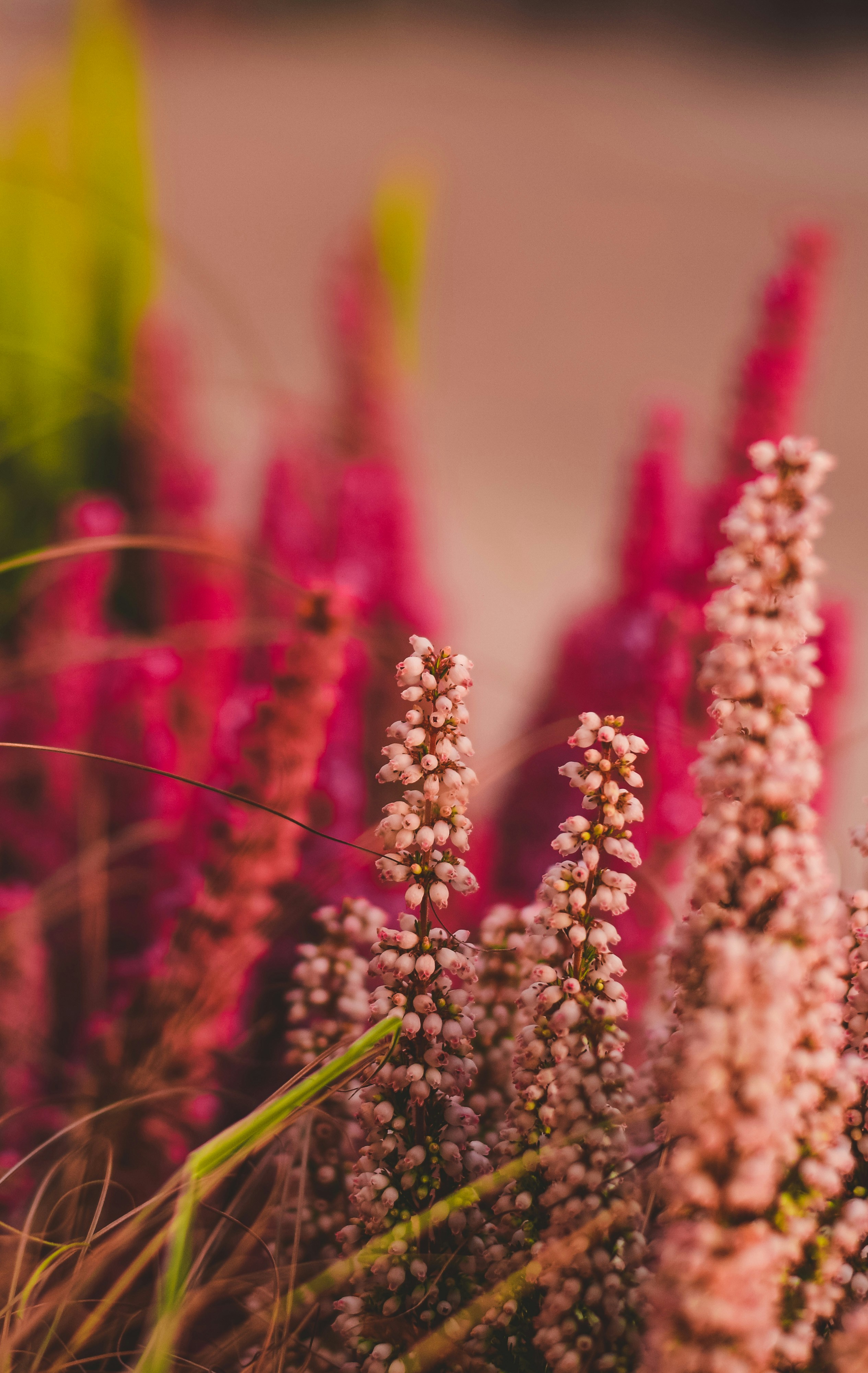 Photo by timeless_postcards