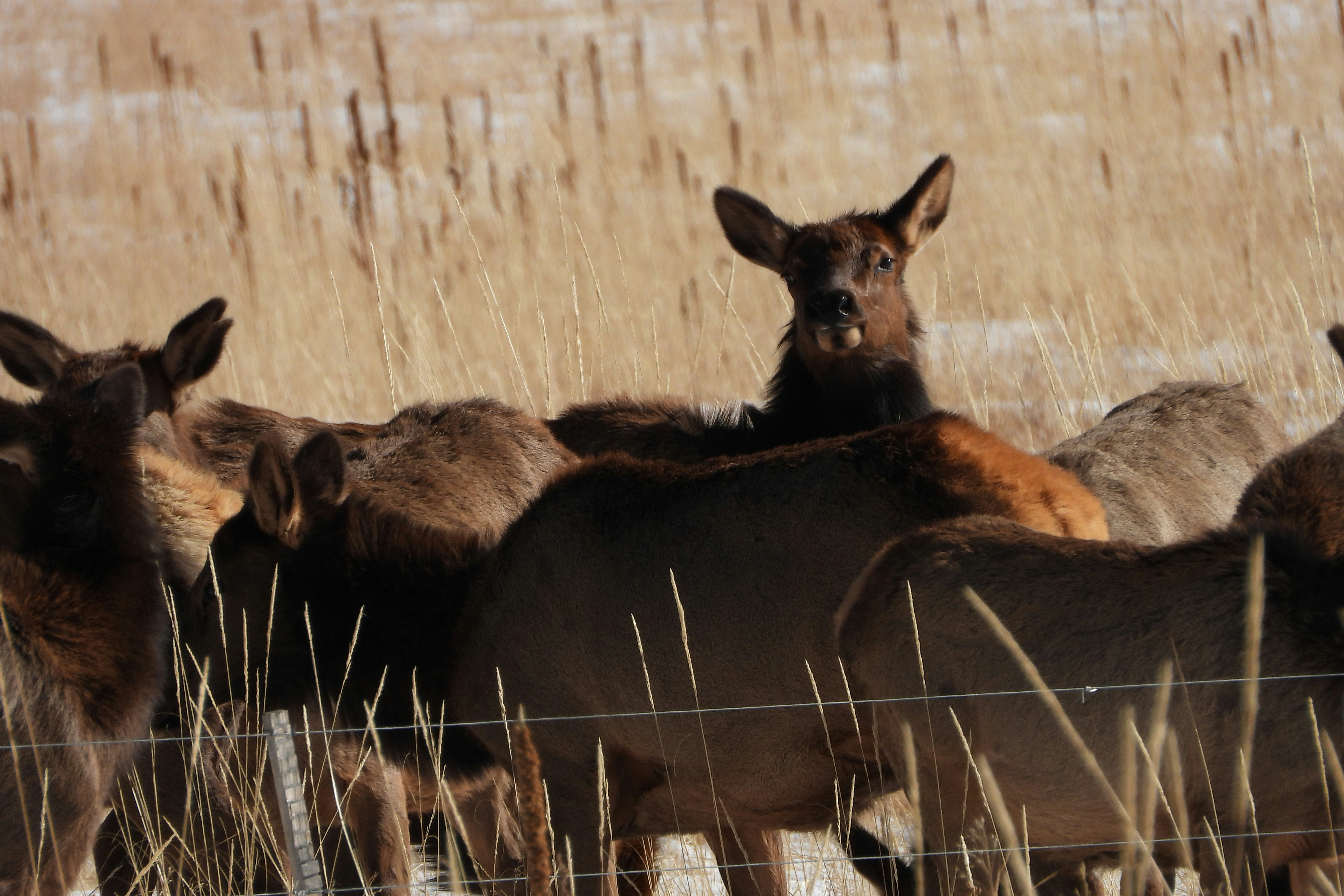 Photo by evergreene24