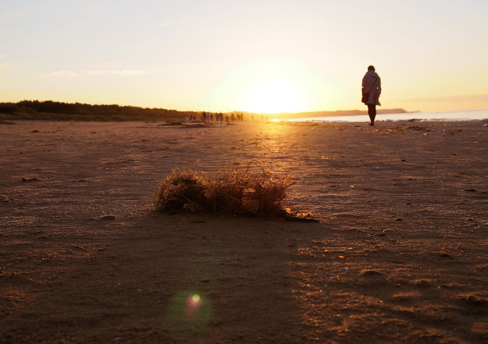 a person walking on a beach at sunset