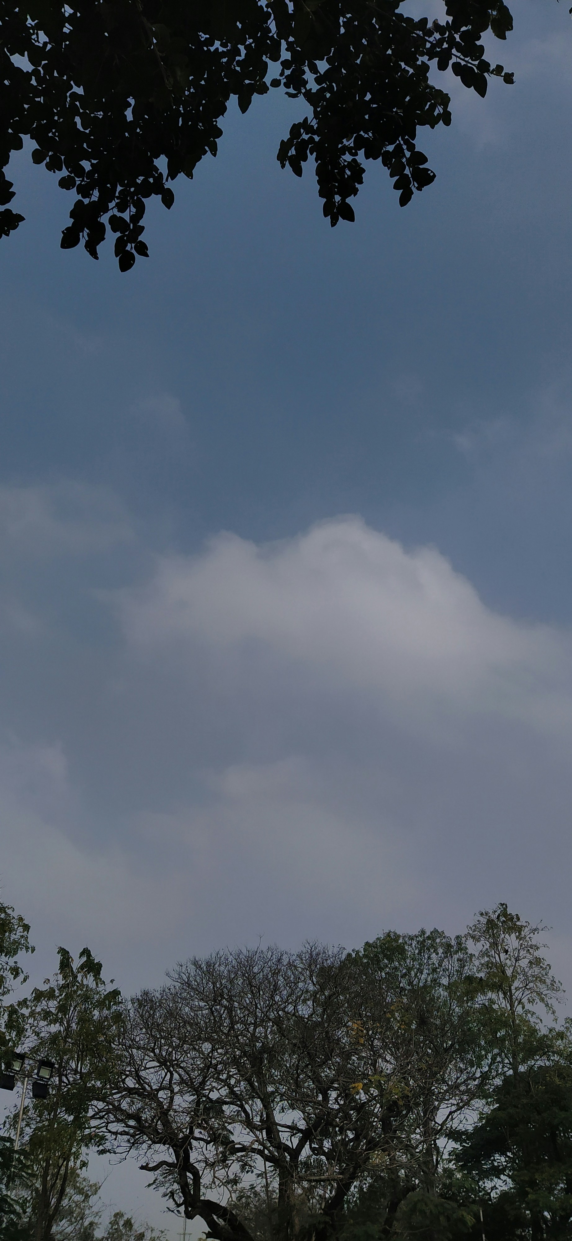 photo-1642321717826-a1c1ca66b5b9?ixid=M3wxMjA3fDB8MXxzZWFyY2h8MTl8fG05OCUyMGJldHxlbnwwfHx8fDE3NTE4OTI5NDJ8MA\u0026ixlib=rb-4.1.0