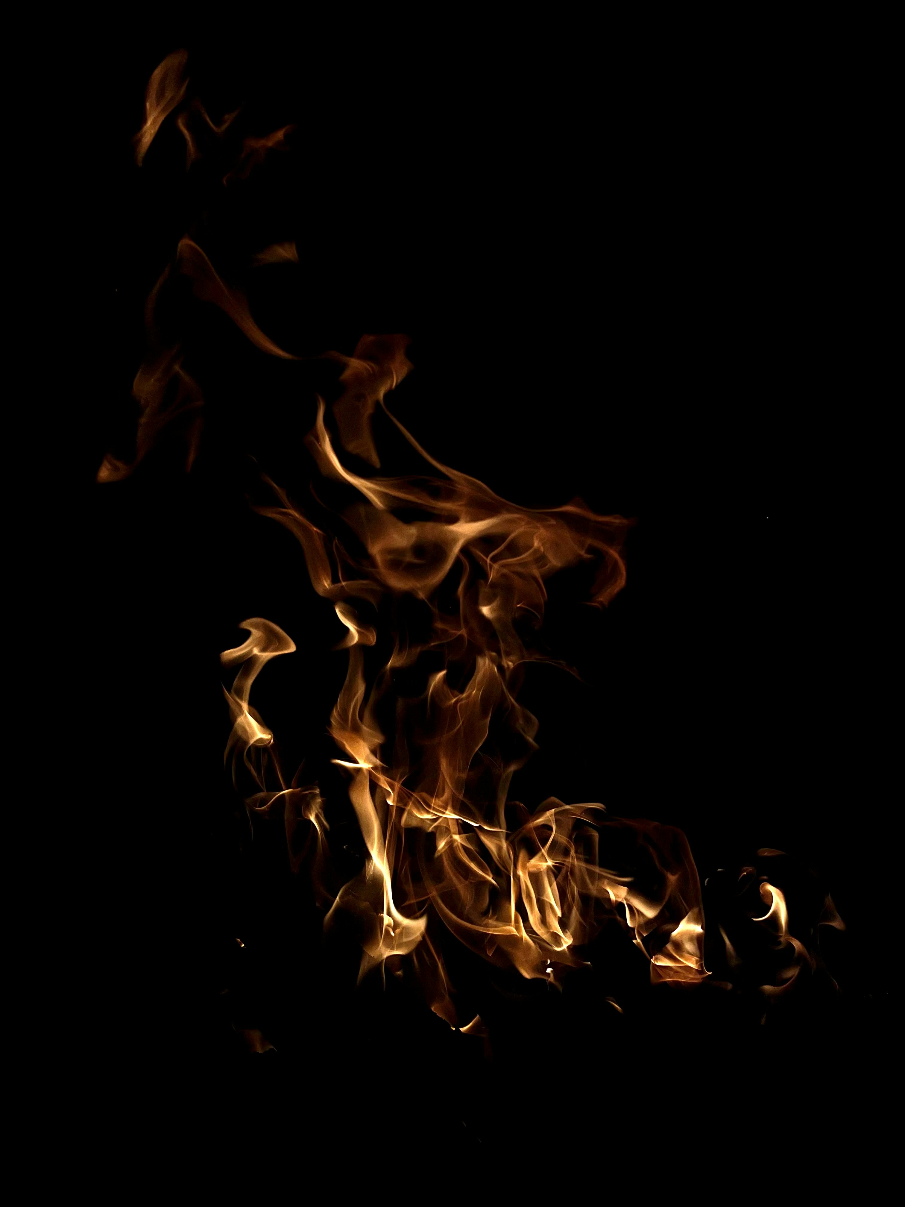 Photo by rajanpreetsingh