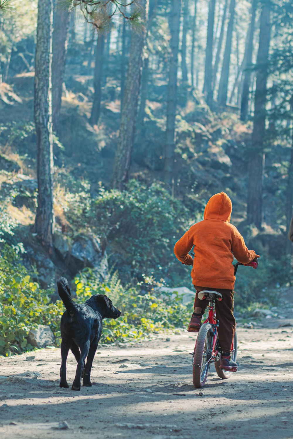 a person riding a bike with a dog on the back