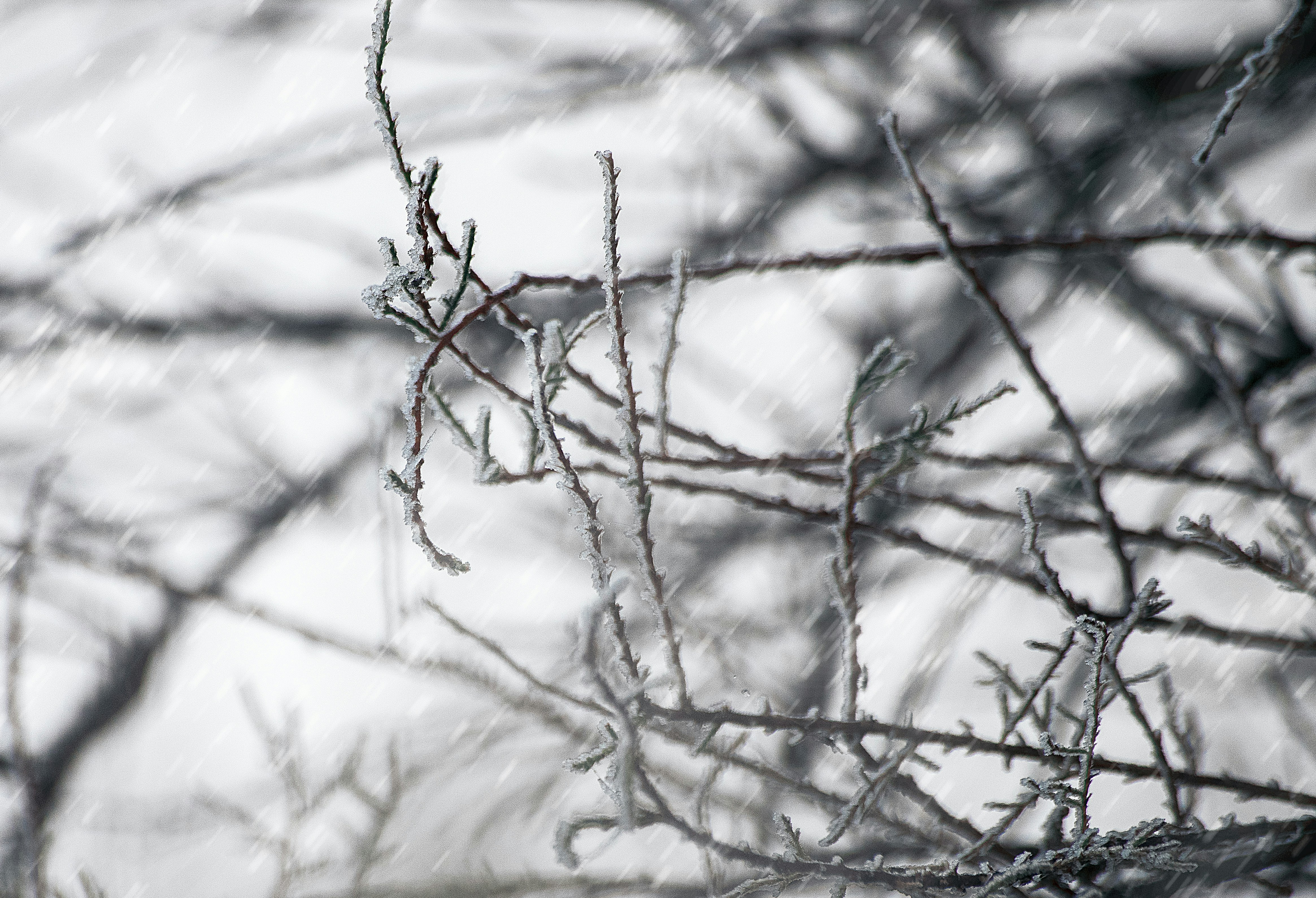 Photo by arizonanthony