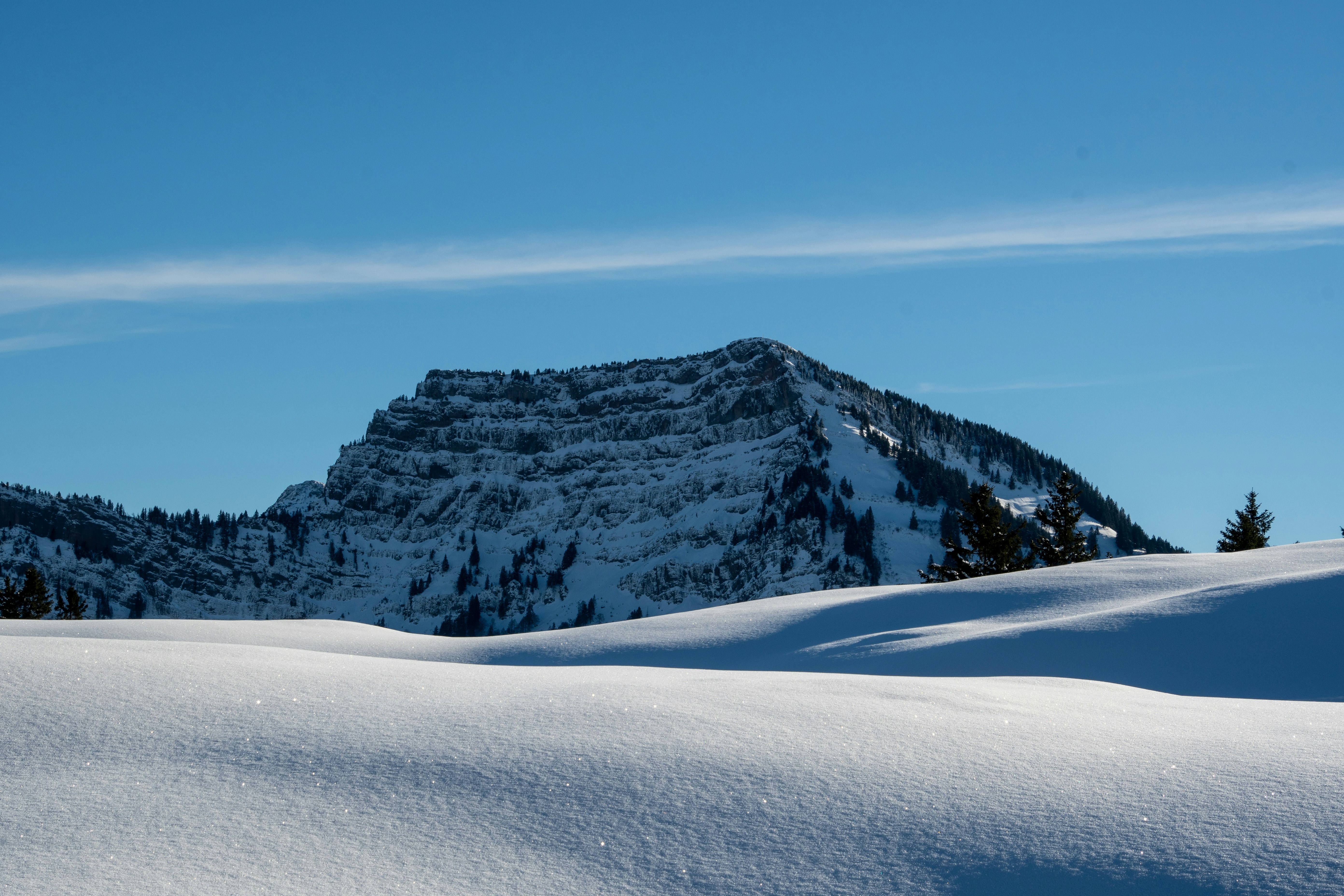 a mountain covered in snow with trees in the foreground