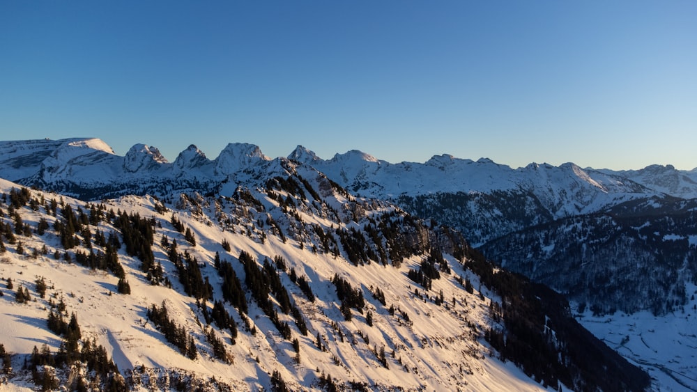 a snow covered mountain with trees on it