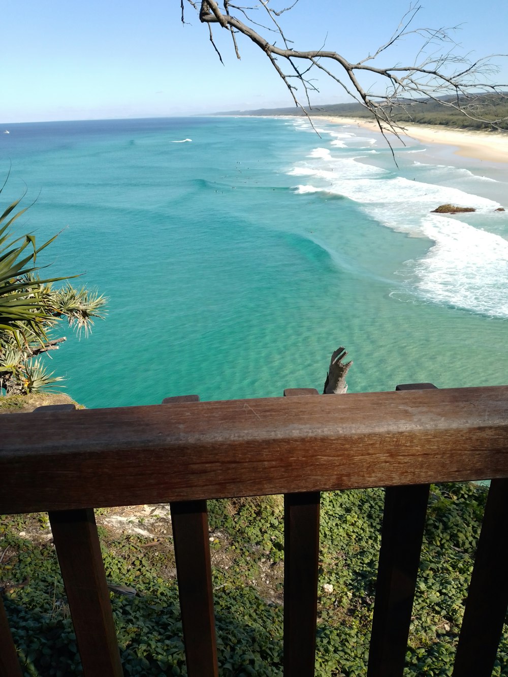 a bird is perched on a railing overlooking the ocean