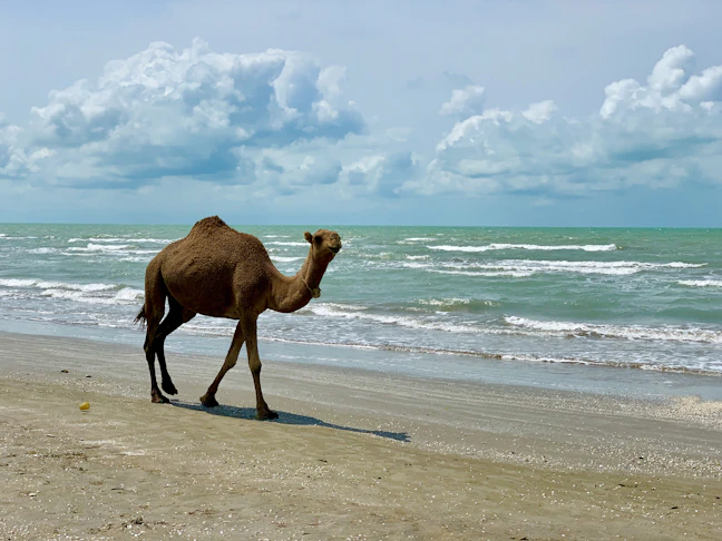 5-Day Family Itinerary for Turkmenbashi, Turkmenistan