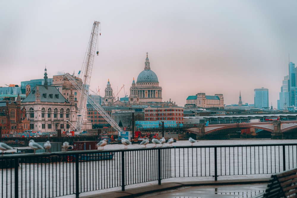 a view of a city from across the river