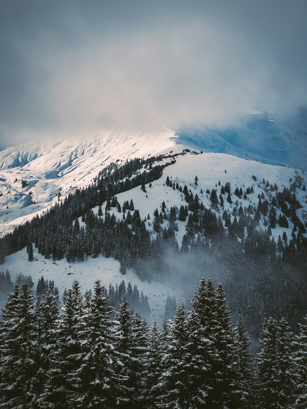 a mountain covered in snow and surrounded by pine trees