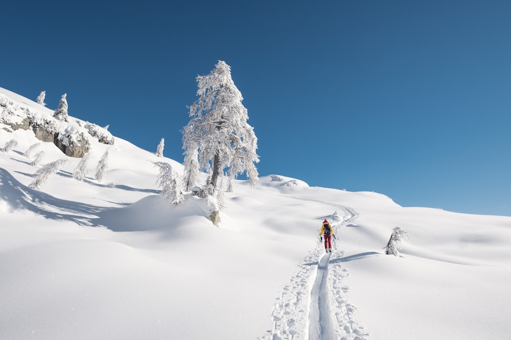 a person is skiing down a snowy hill