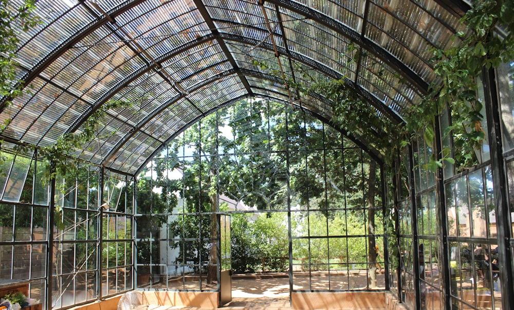 Una habitación llena de muchas ventanas y un suelo de madera