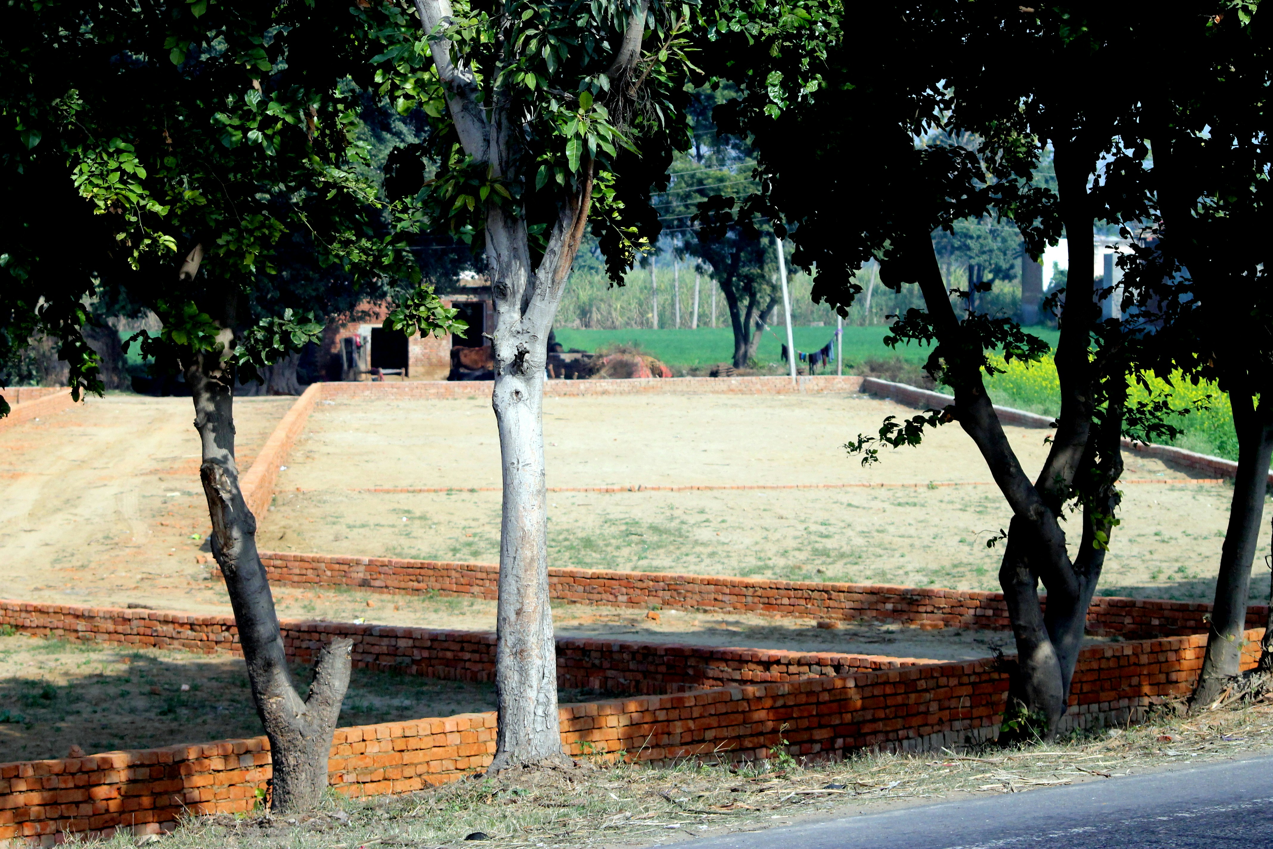 Ein Mann fährt mit einem Skateboard einen Hügel hinunter