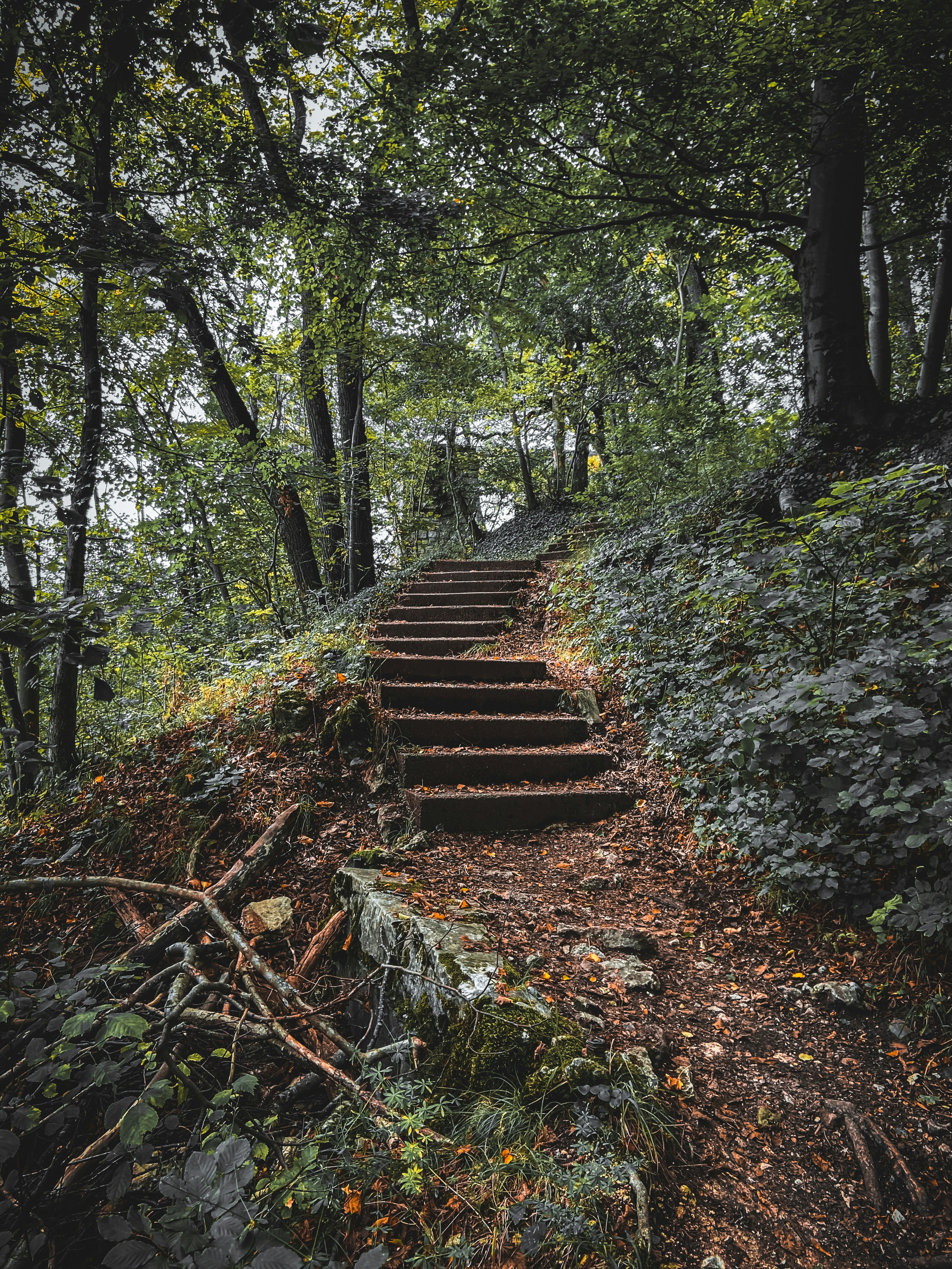 Photo by bratanowitsch