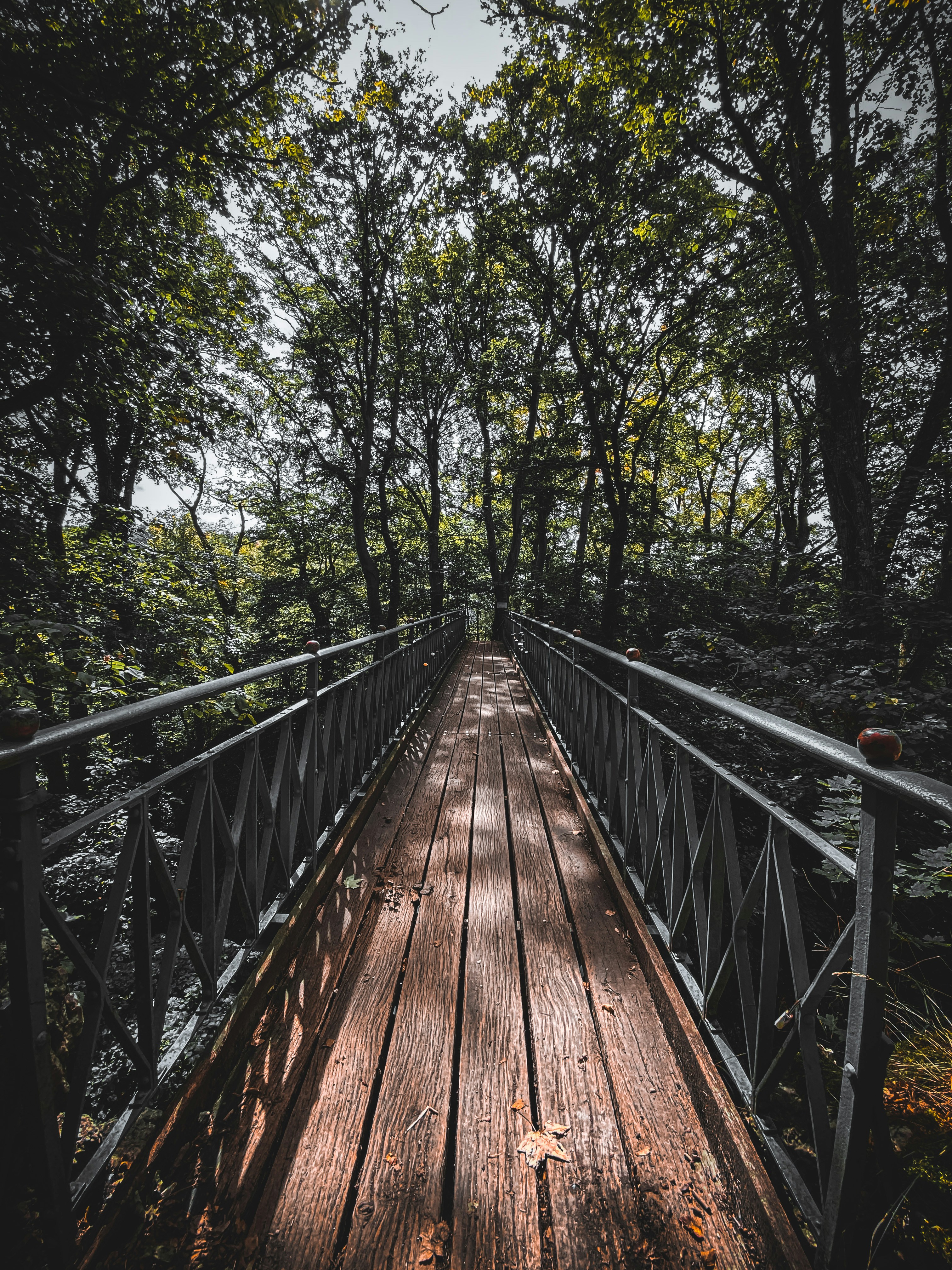 Photo by bratanowitsch