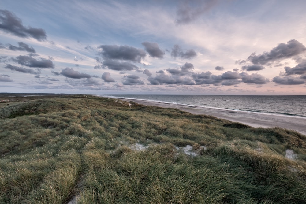 a sandy beach with grass and a cloudy sky