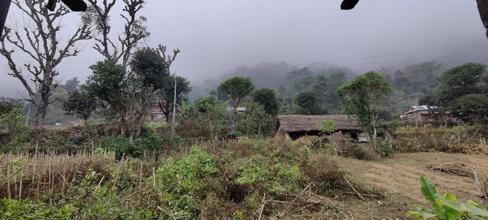 a dirt road with a hut in the middle of it