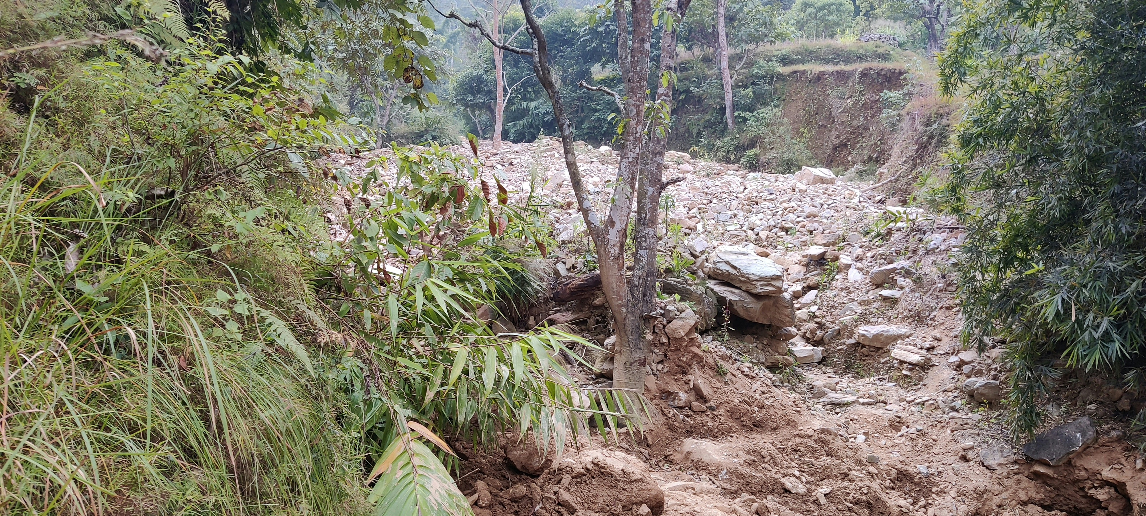 土砂災害で集落全体が埋没？豪雨による大規模地滑りと人的被害関連画像