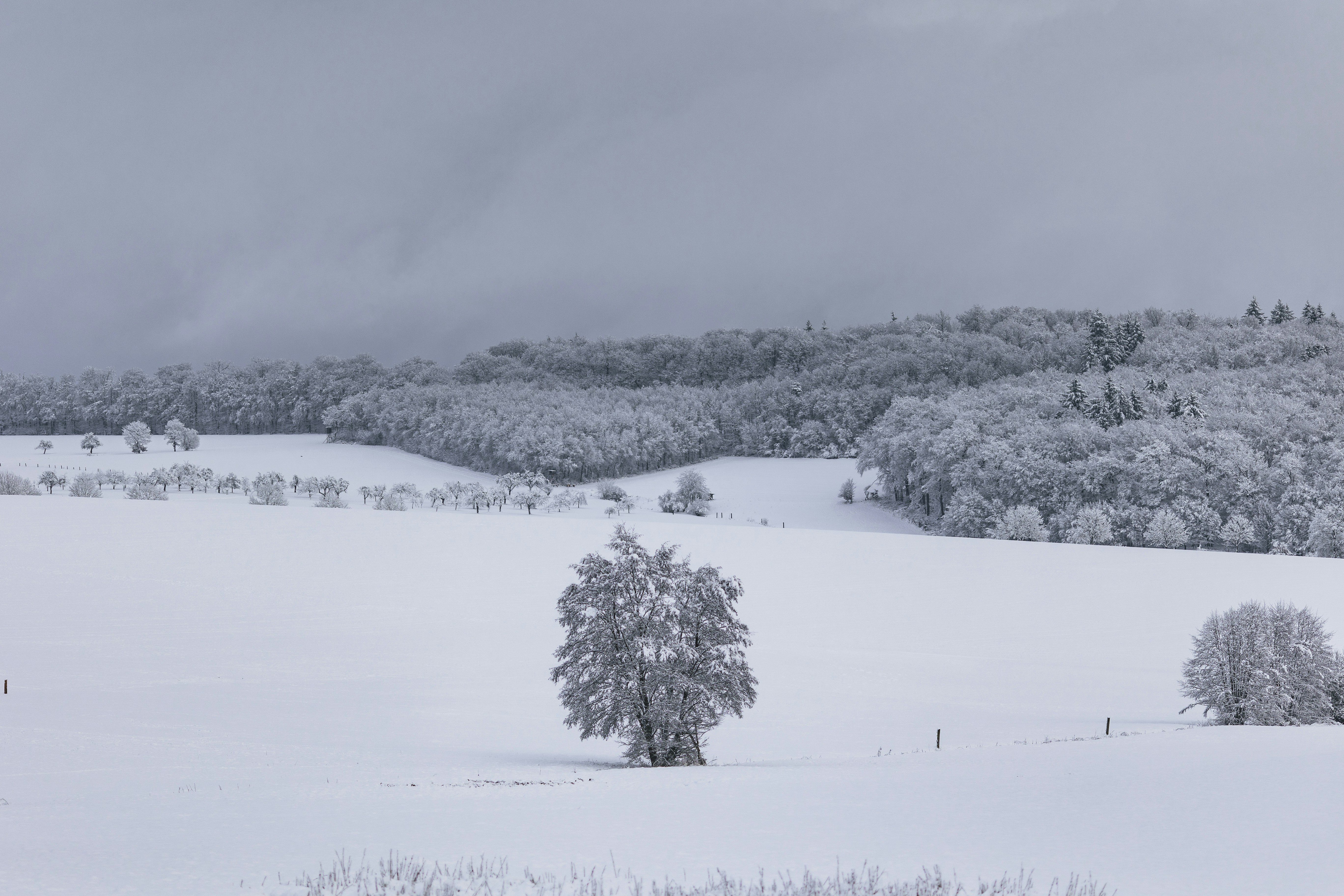 Photo by danny_rienecker