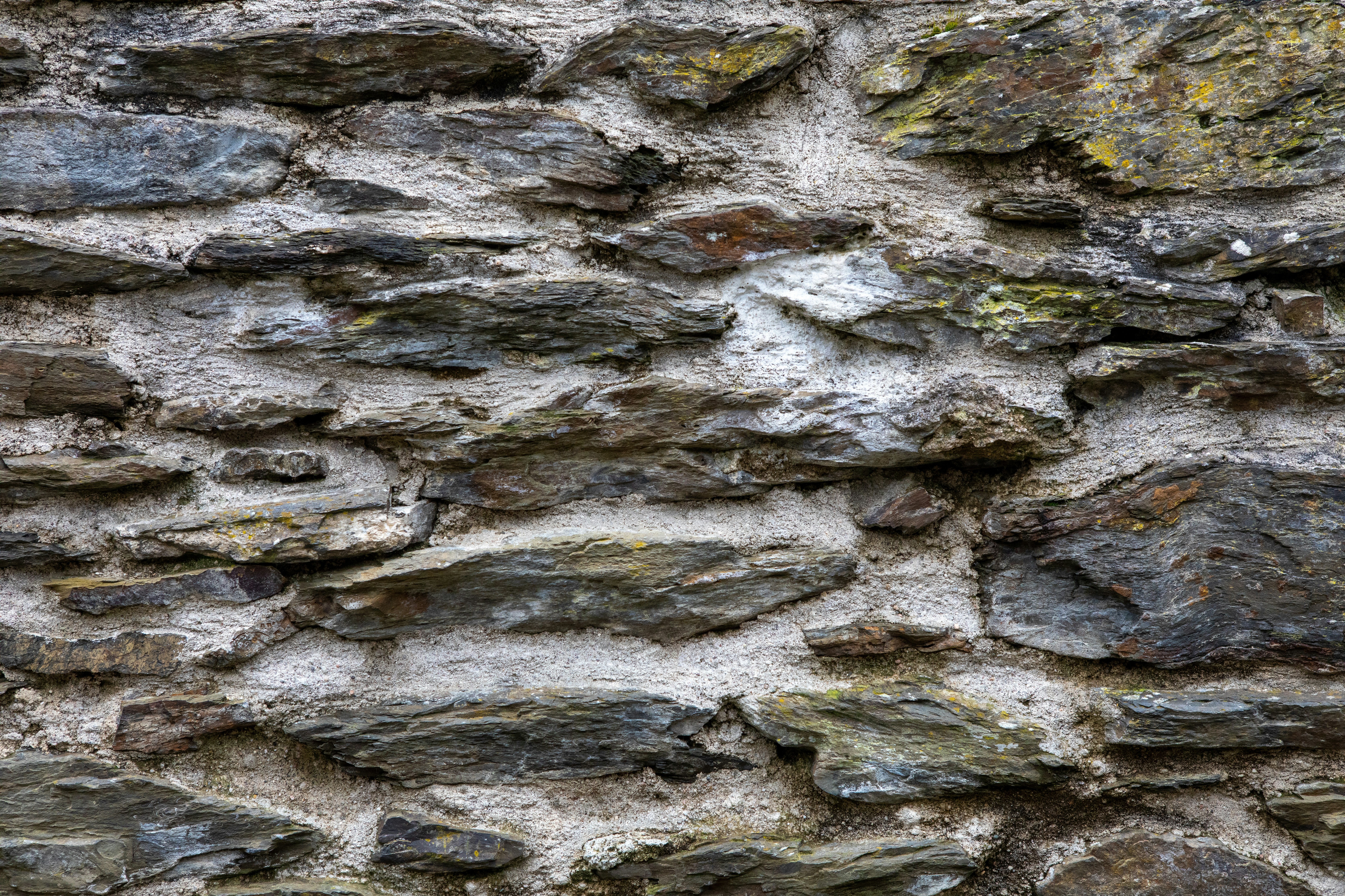 Photo by danny_rienecker