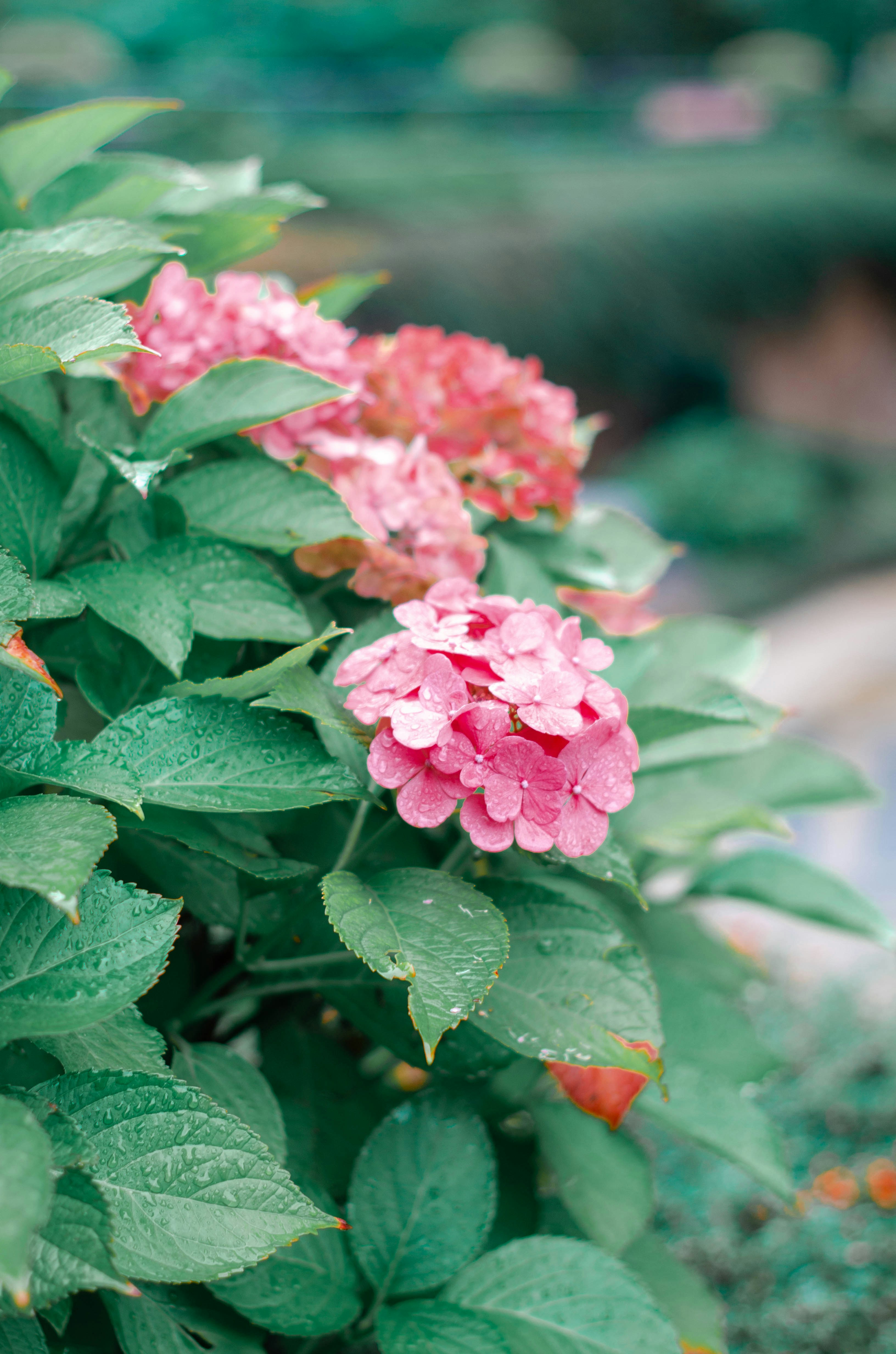 Photo by nika_benedictova