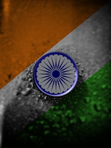 a picture of a indian flag with a blue circle on it