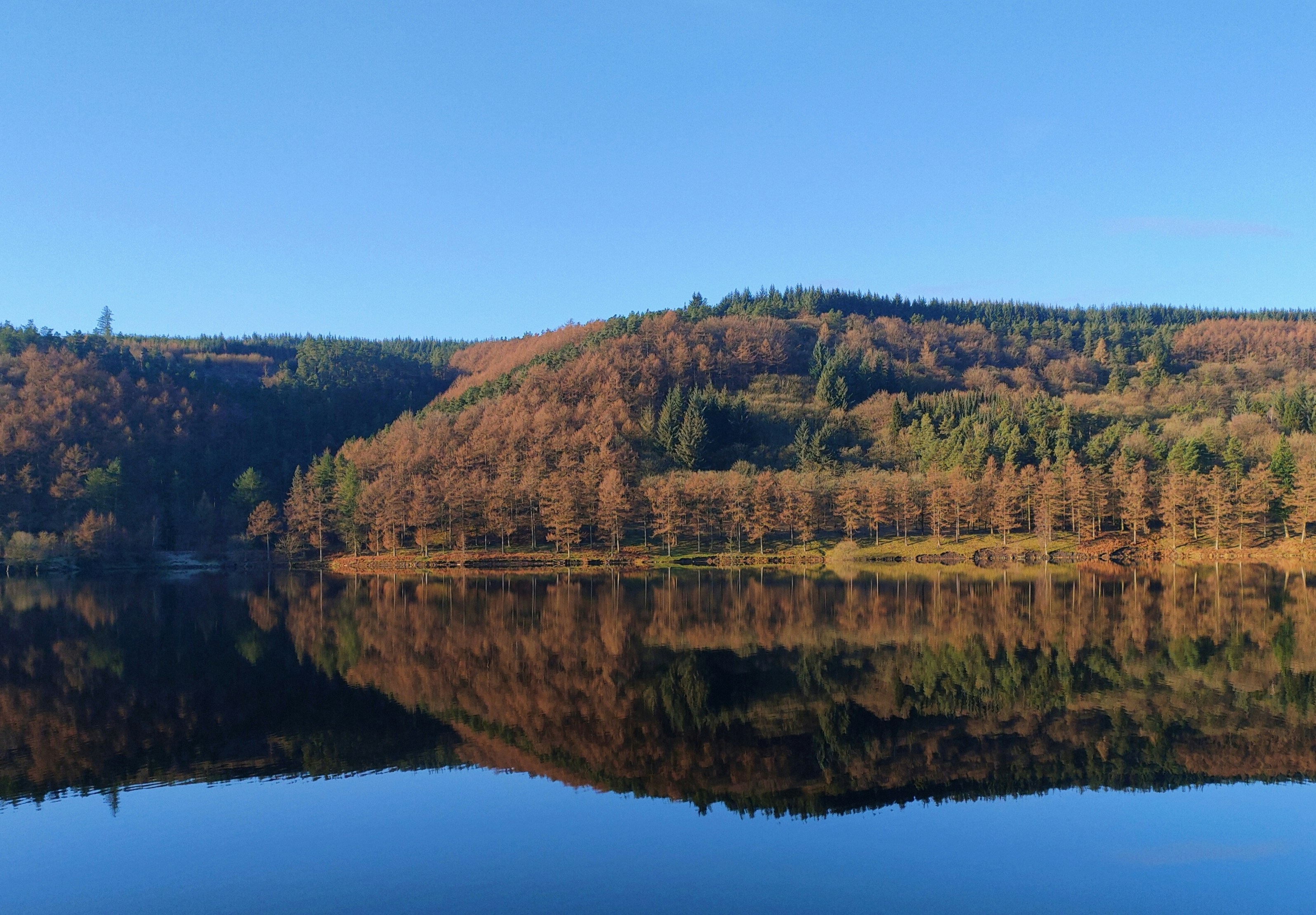 Photo by _asimrehman